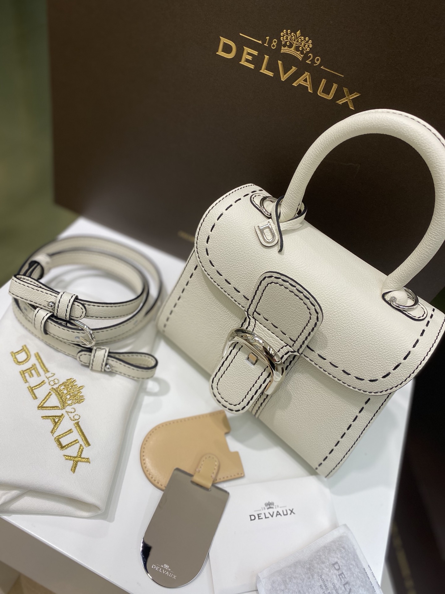 Brillant leather handbag Delvaux White in Leather -
