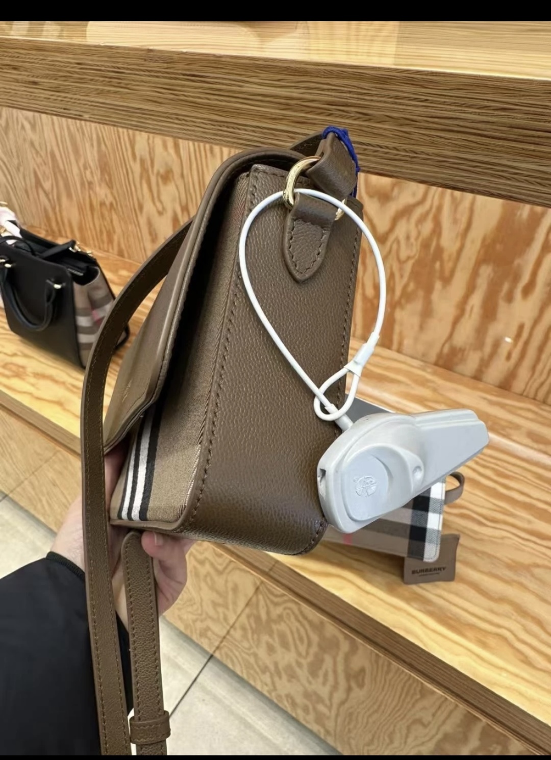 Burberry Hampshire House Check Crossbody Bag Earth