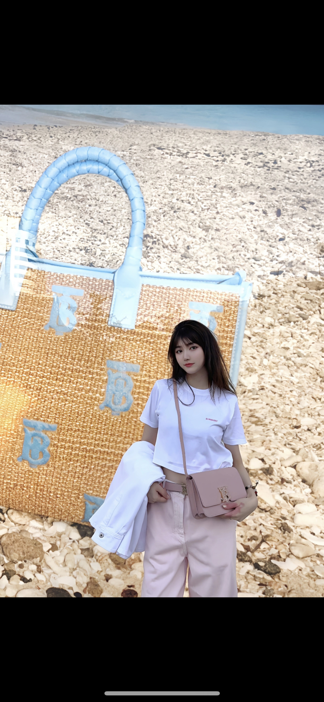 Burberry TB logo-plaque Calf Leather Shoulder Bag | Pink