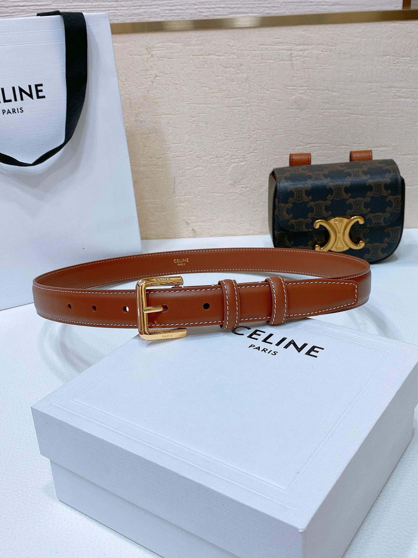 Celine Mini Claude Bag in Triomphe Canvas and Calfskin