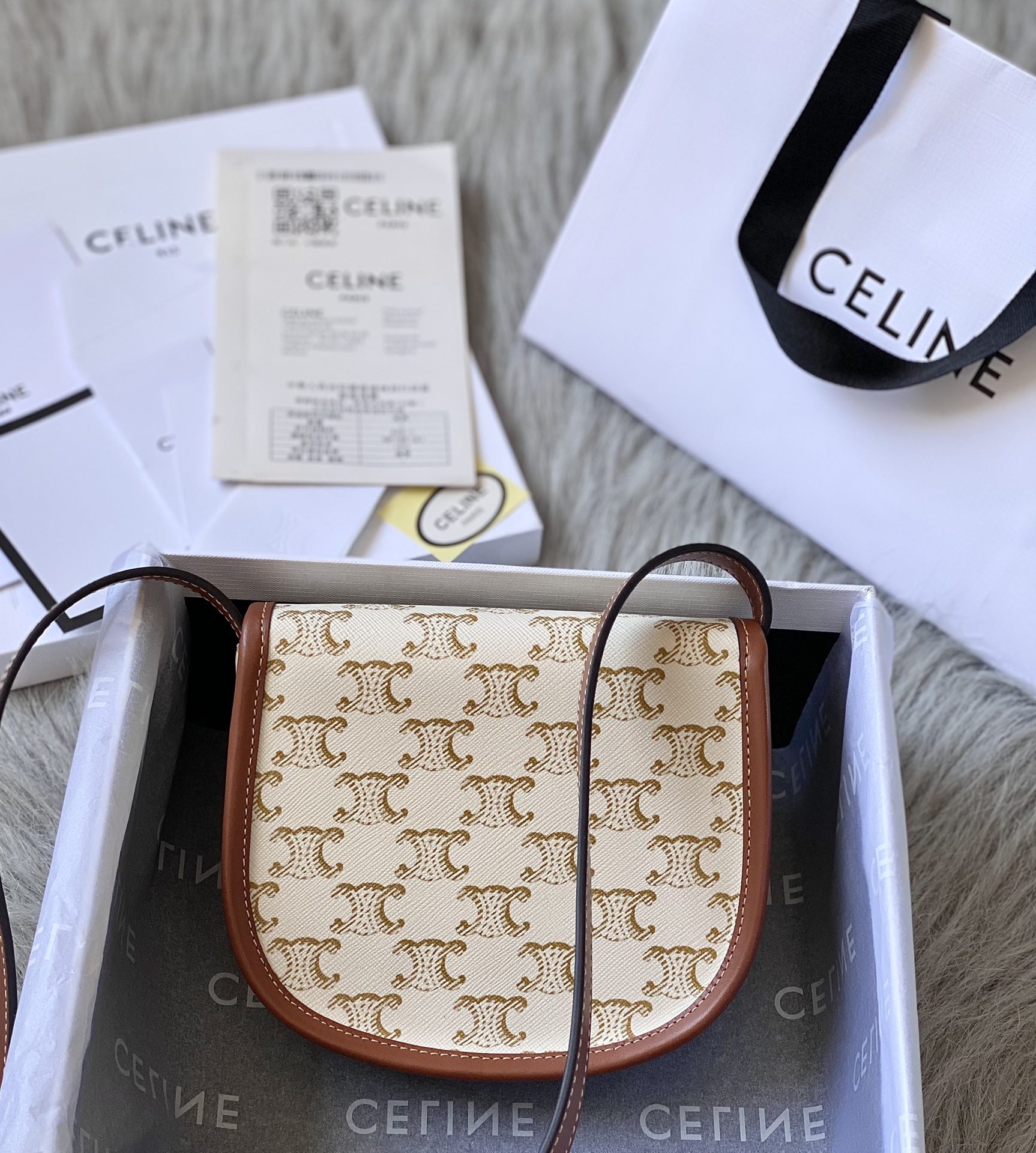 CELINE Triomphe Canvas Calfskin Mini Besace Bag White 1223934