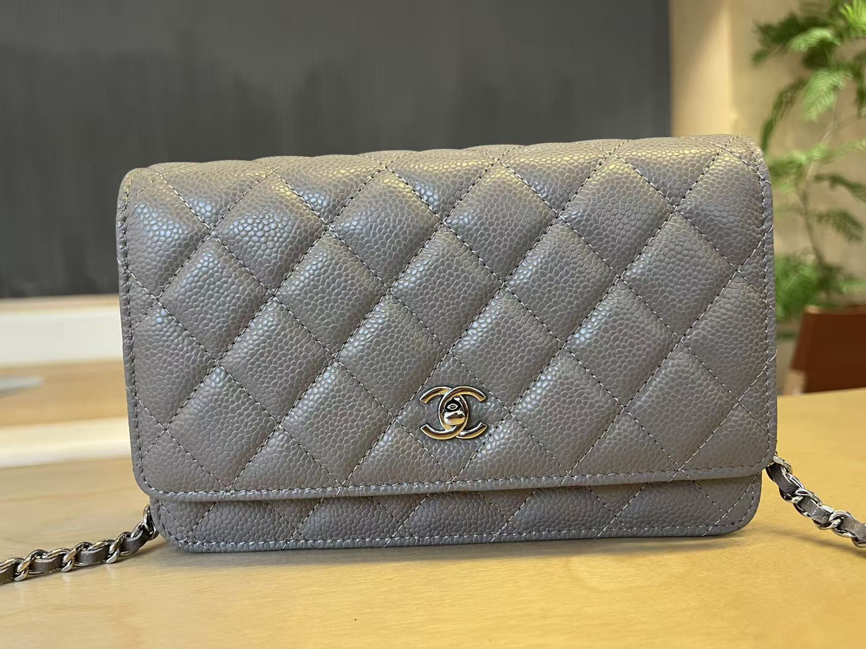 CHANEL Caviar Quilted Wallet On Chain WOC Grey 1248935
