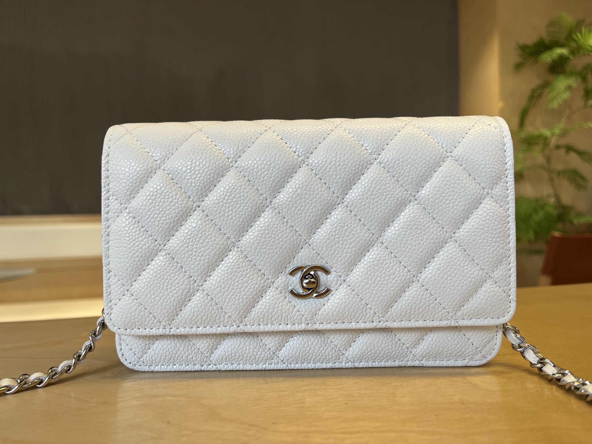 Chanel Classic Wallet On Chain - White Crossbody Bags