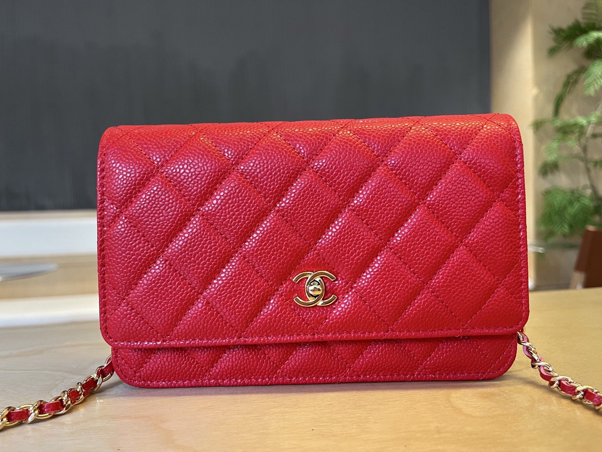 CHANEL Classic WOC Chain Crossbody Bag with Gold