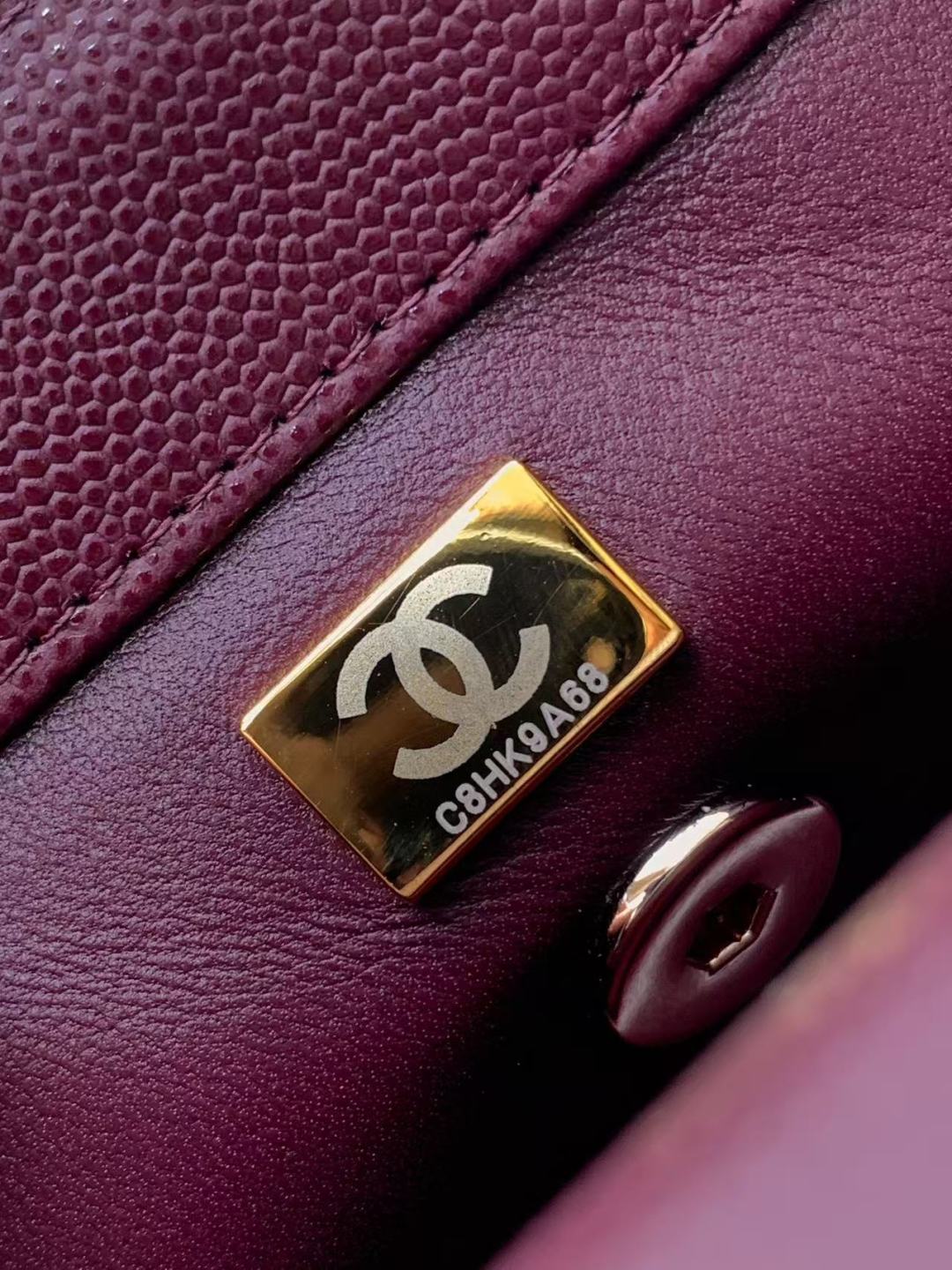 Chanel Mini Lizard-Trimmed Coco Handle Bag - Burgundy