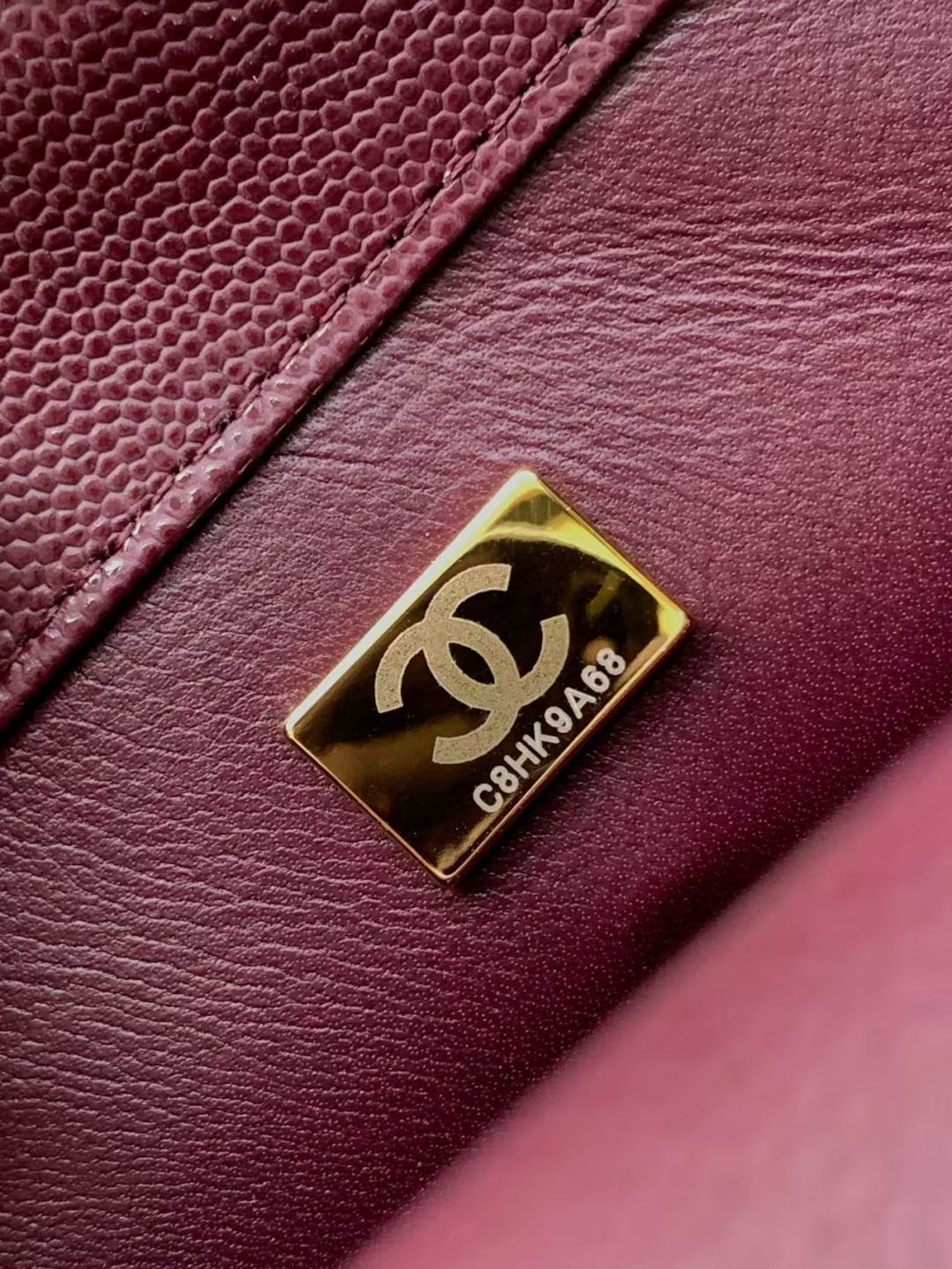 Chanel Mini Lizard-Trimmed Coco Handle Bag - Burgundy Handle Bags, Handbags - CHA1007789