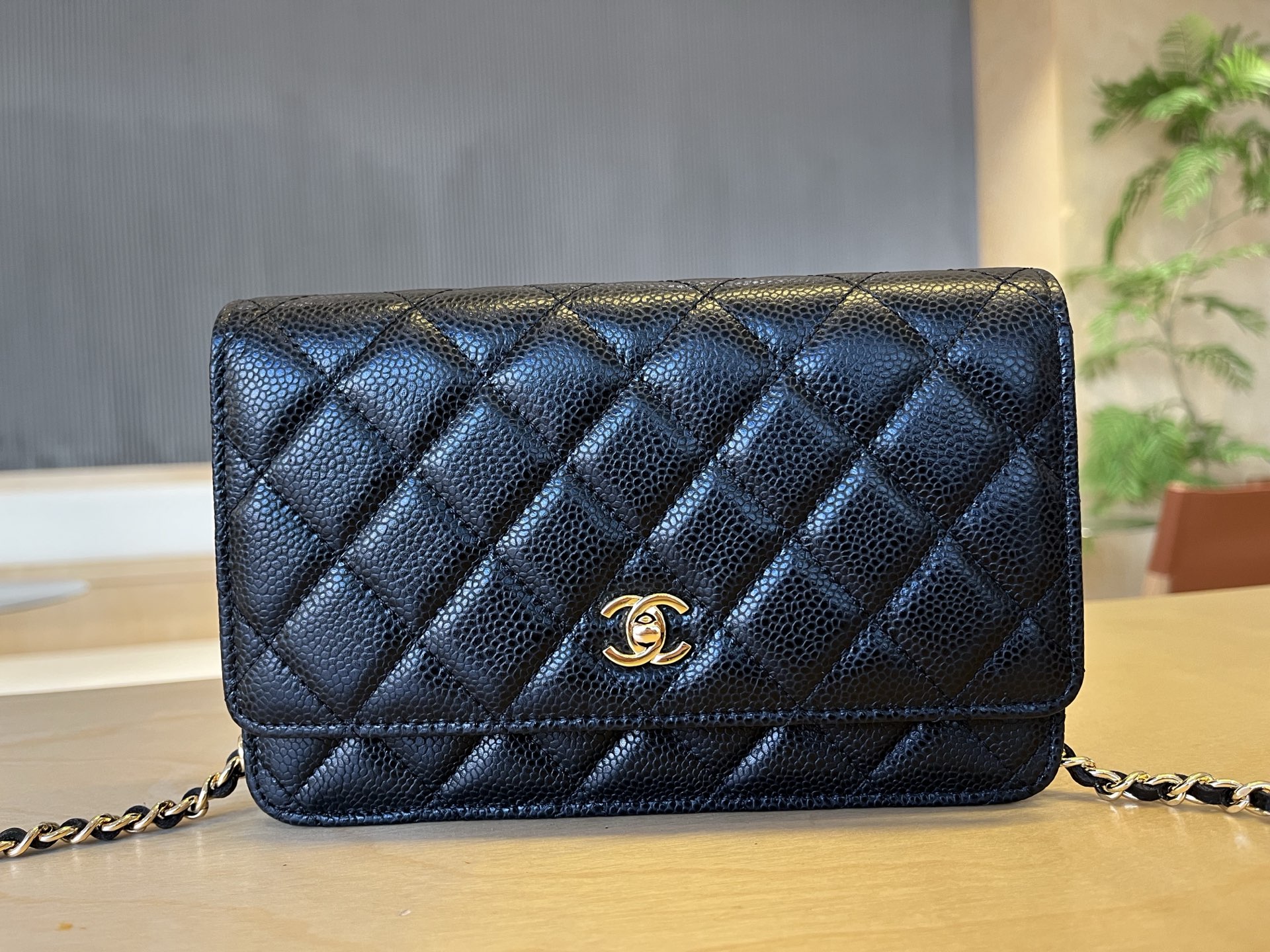 CHANEL Pre-Owned 2015-2016 Flap Chain Wallet Handbag