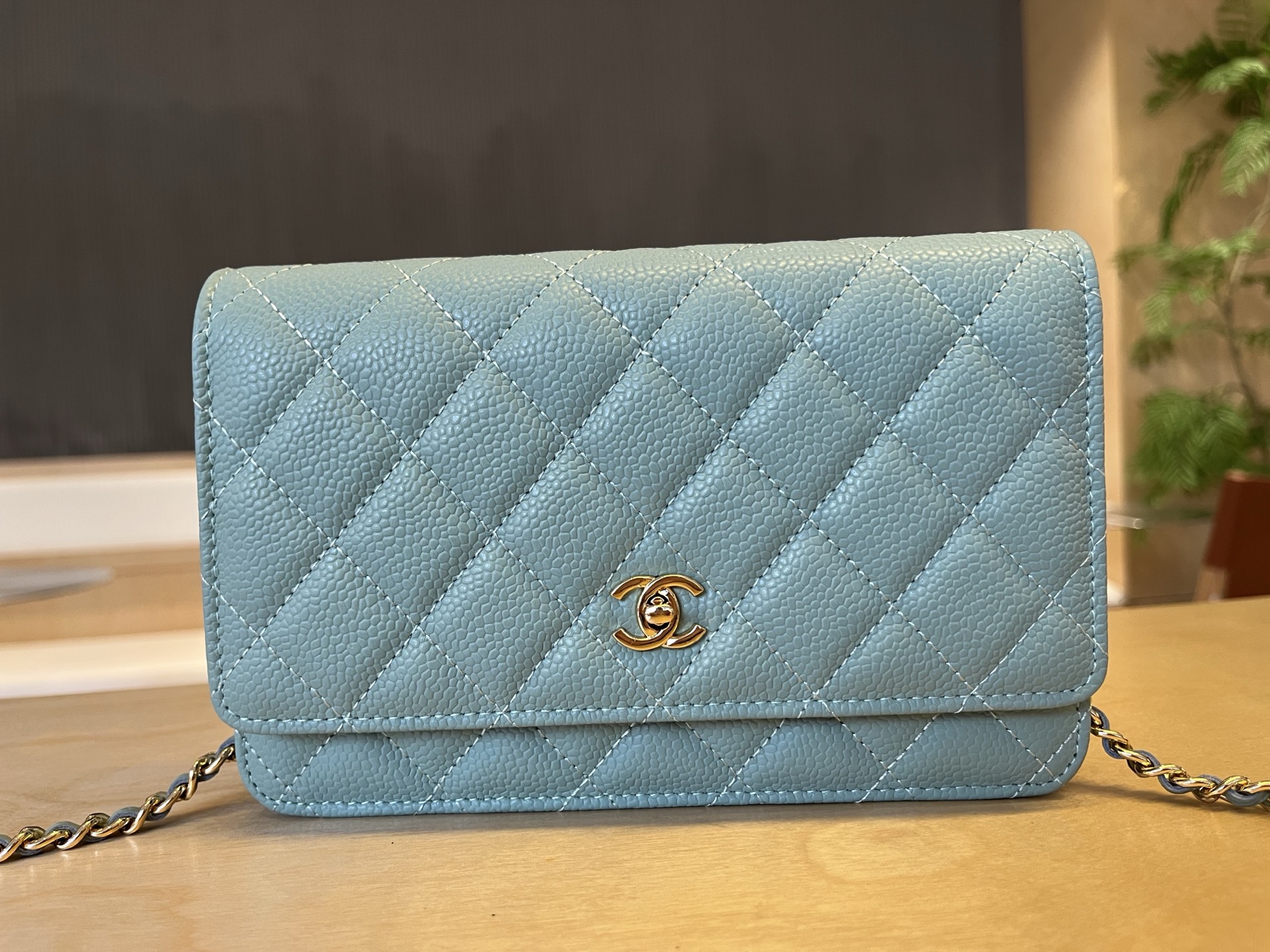Chanel Wallet on Chain WOC Blue Caviar Light Gold Hardware