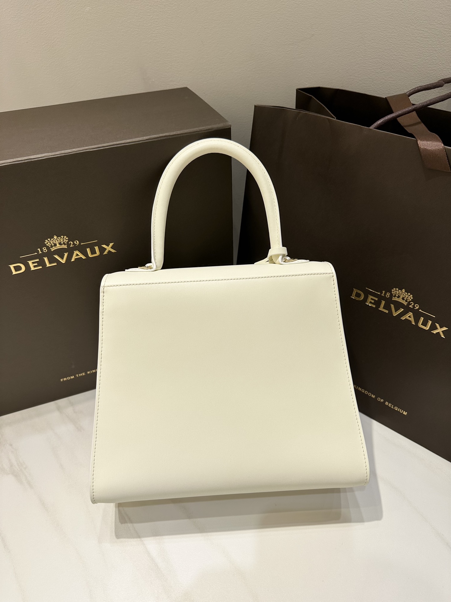Delvaux Brillant MM Leather Handbag White Pony-style calfskin r