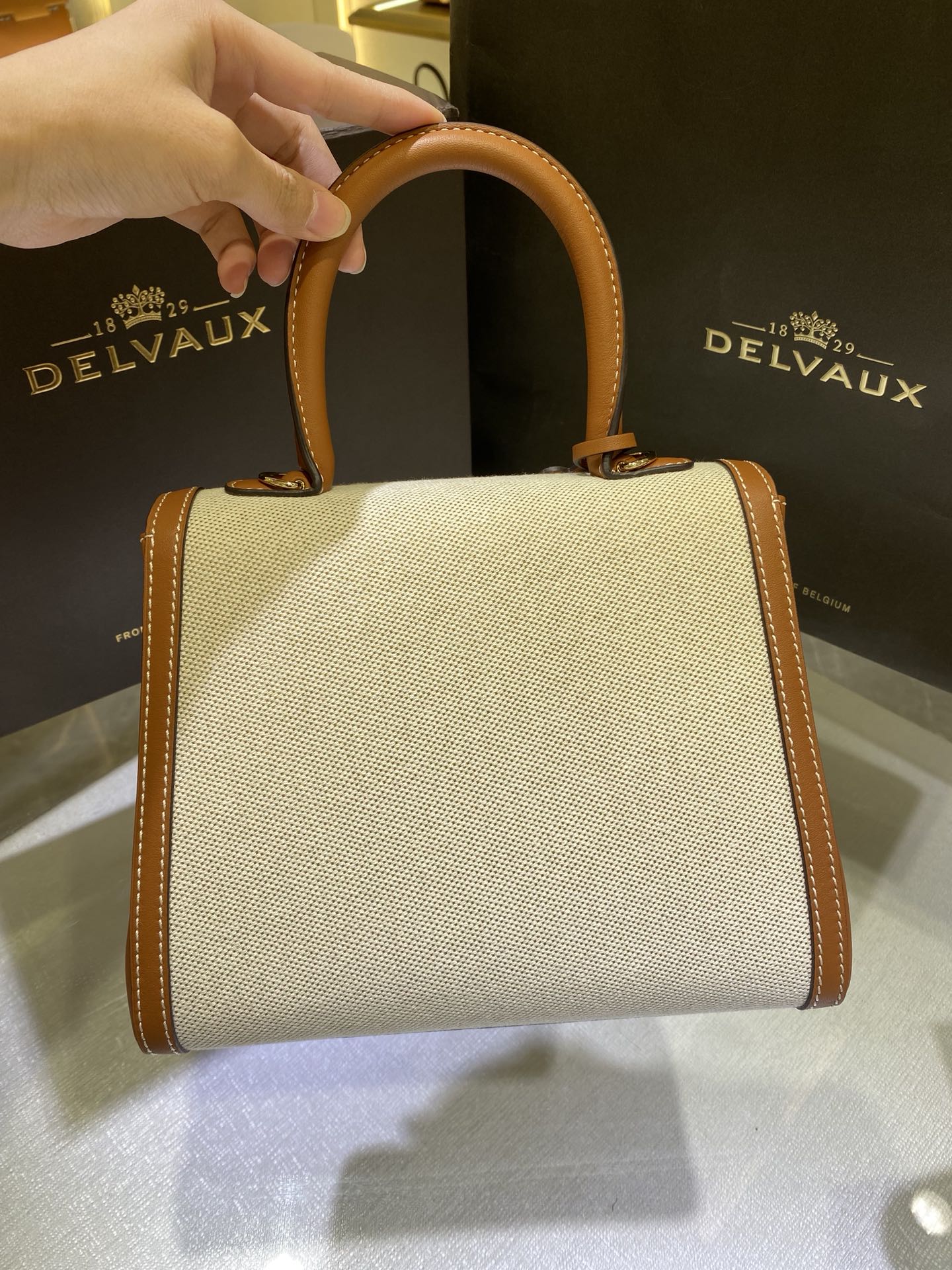 Delvaux Natural/Tan Calf Trim Canvas Brillant PM Bag ○