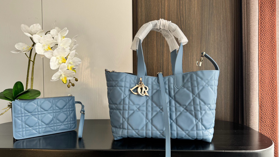 Dior Toujours Medium Women's Bag Turquoise
