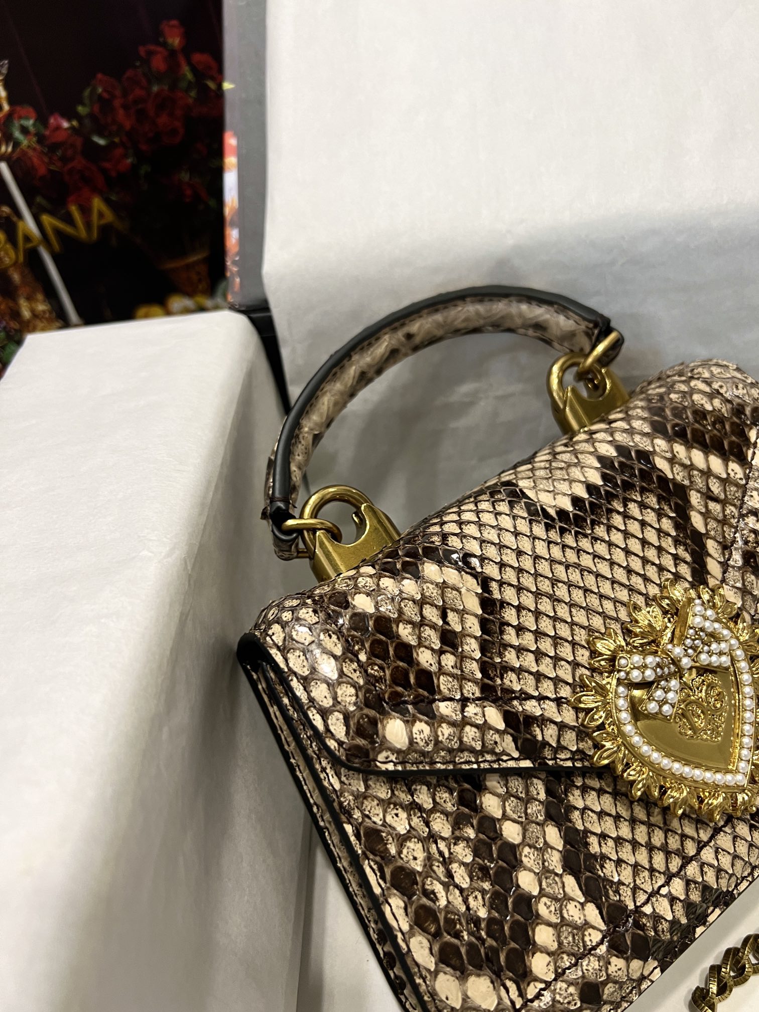 Dolce & Gabbana Small Devotion bag in python skin in NUDE for Women |