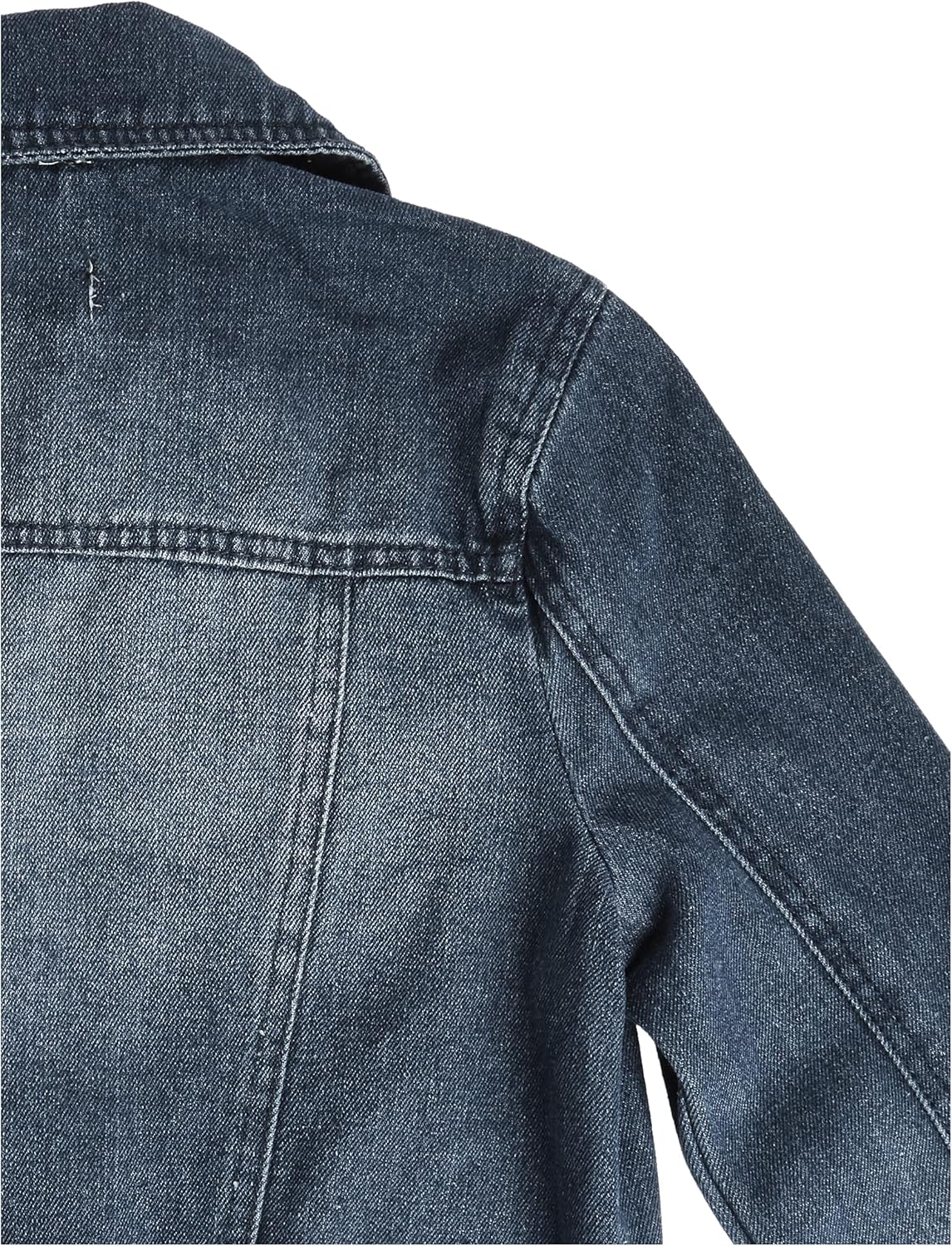 dollhouse Women’s Size Plus Jacket