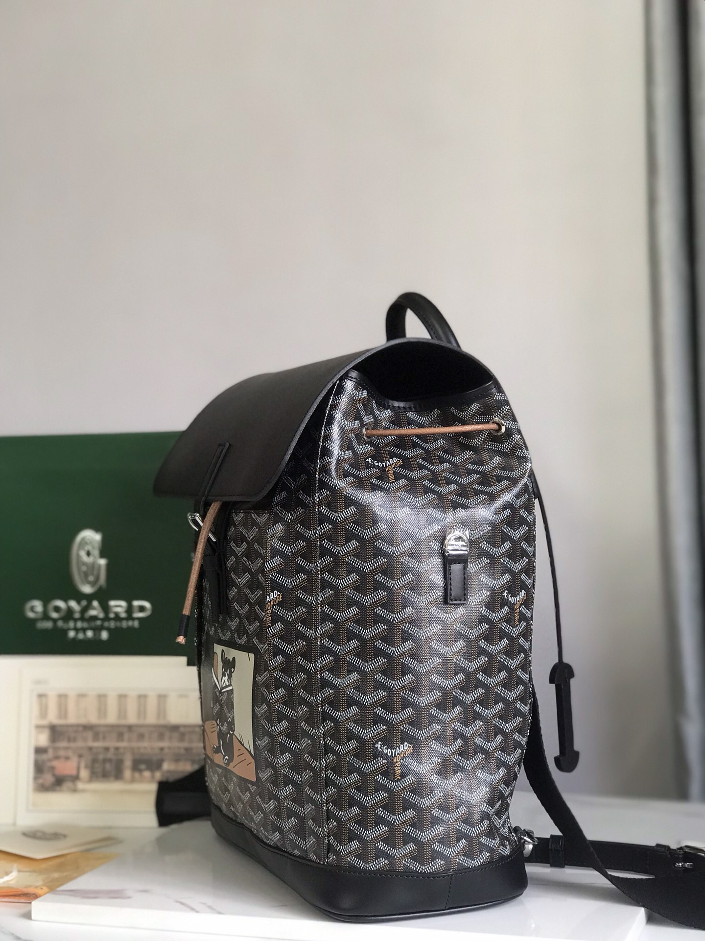 Goyard Alpin MM PVC Backpack Black Cloth ref.2215228
