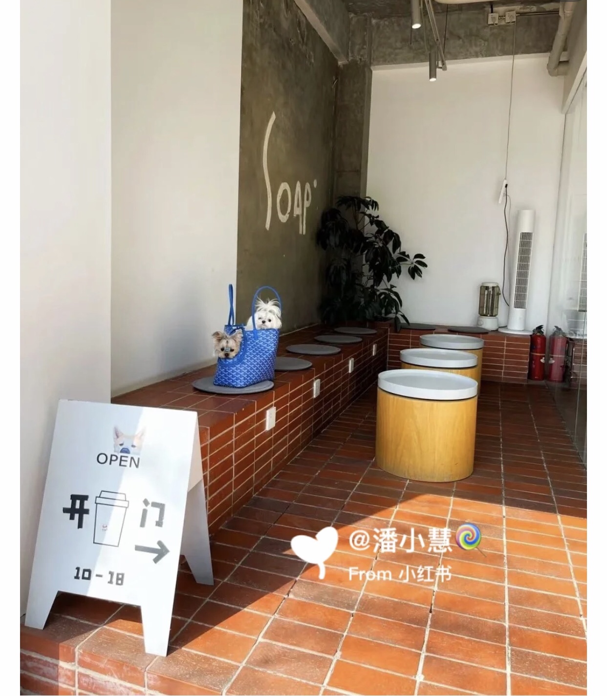 Goyard Chien Gris Pet Carrier Tote Coated Canvas bag blue