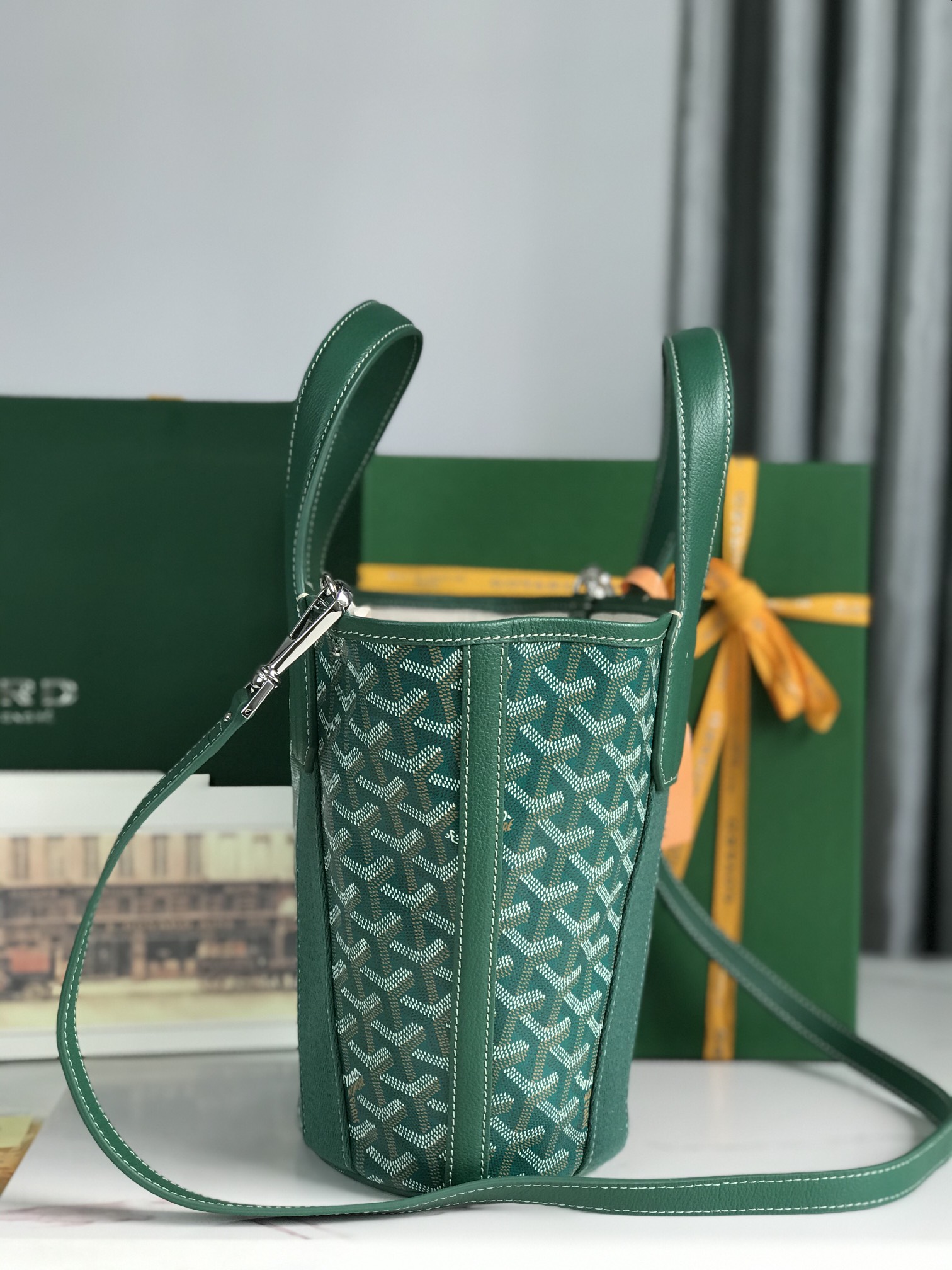 Goyard Goyardine Belharra PM Coral Tote Palladium bag green
