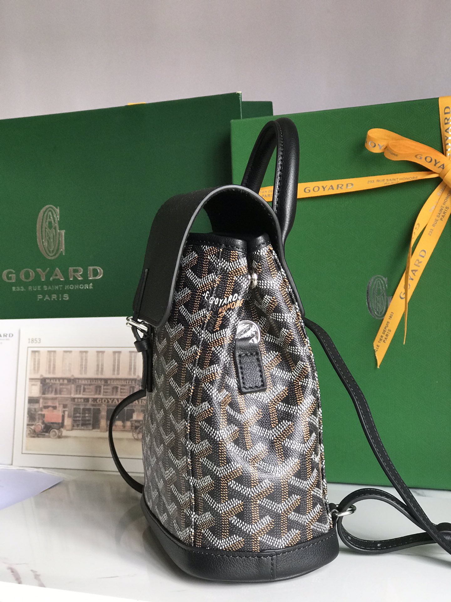 GOYARD Goyardine Calfskin Mini Alpin Backpack Black 539206