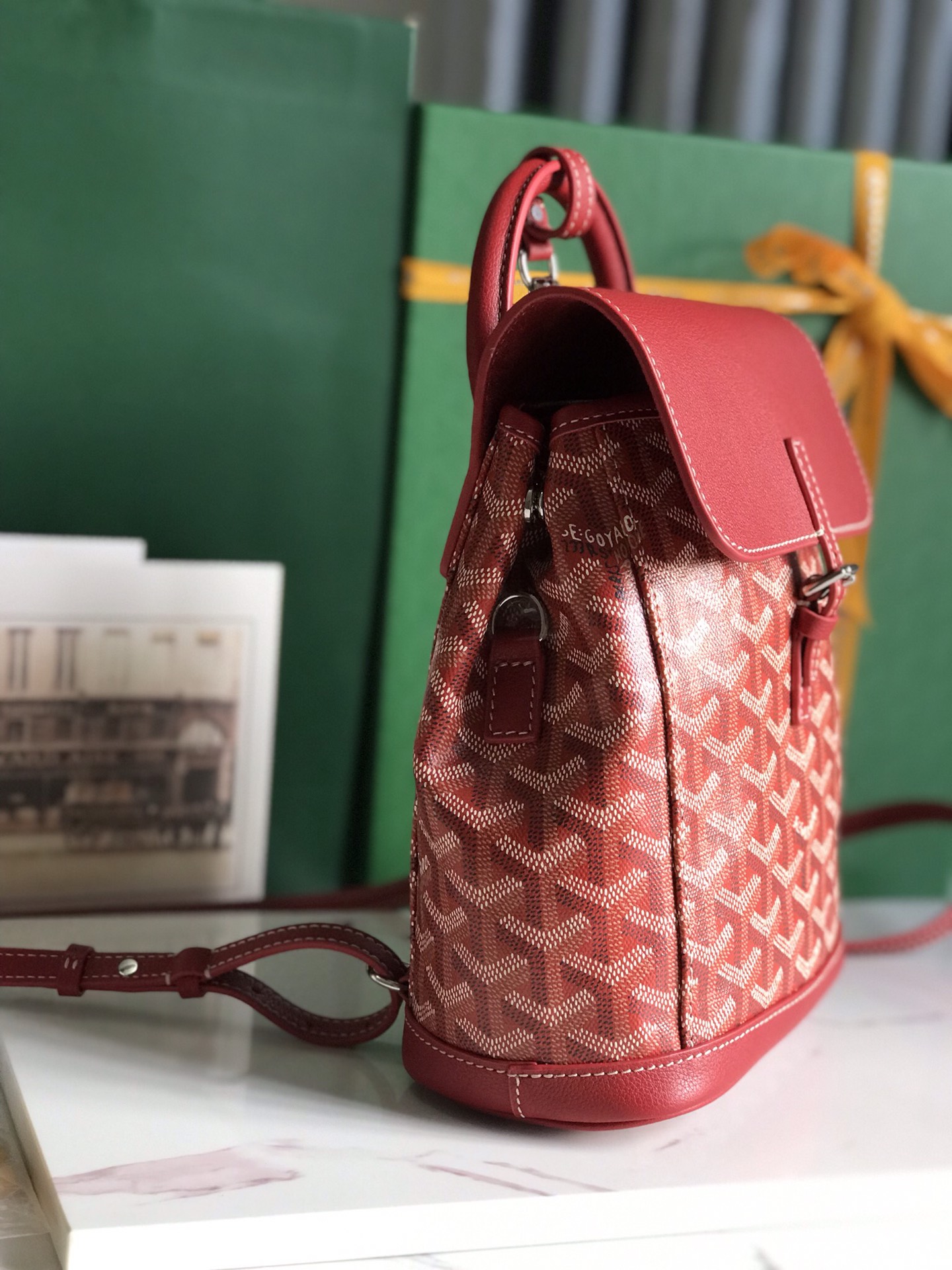 GOYARD Goyardine Calfskin Mini Alpin Backpack Red 8270