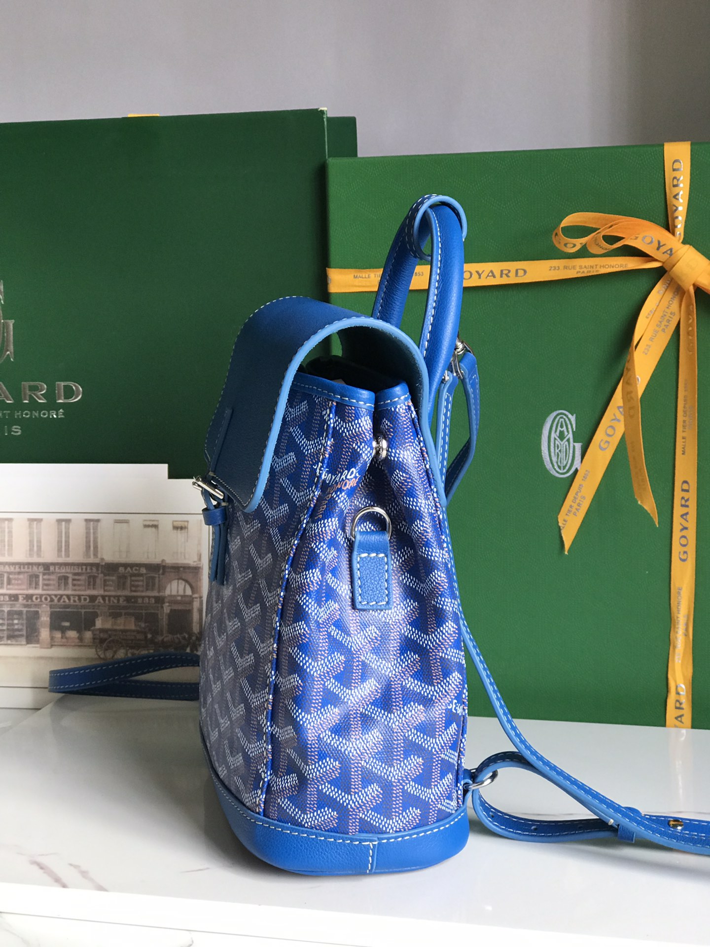 GOYARD Goyardine Calfskin Mini Alpin Backpack Sky Blue 1509543