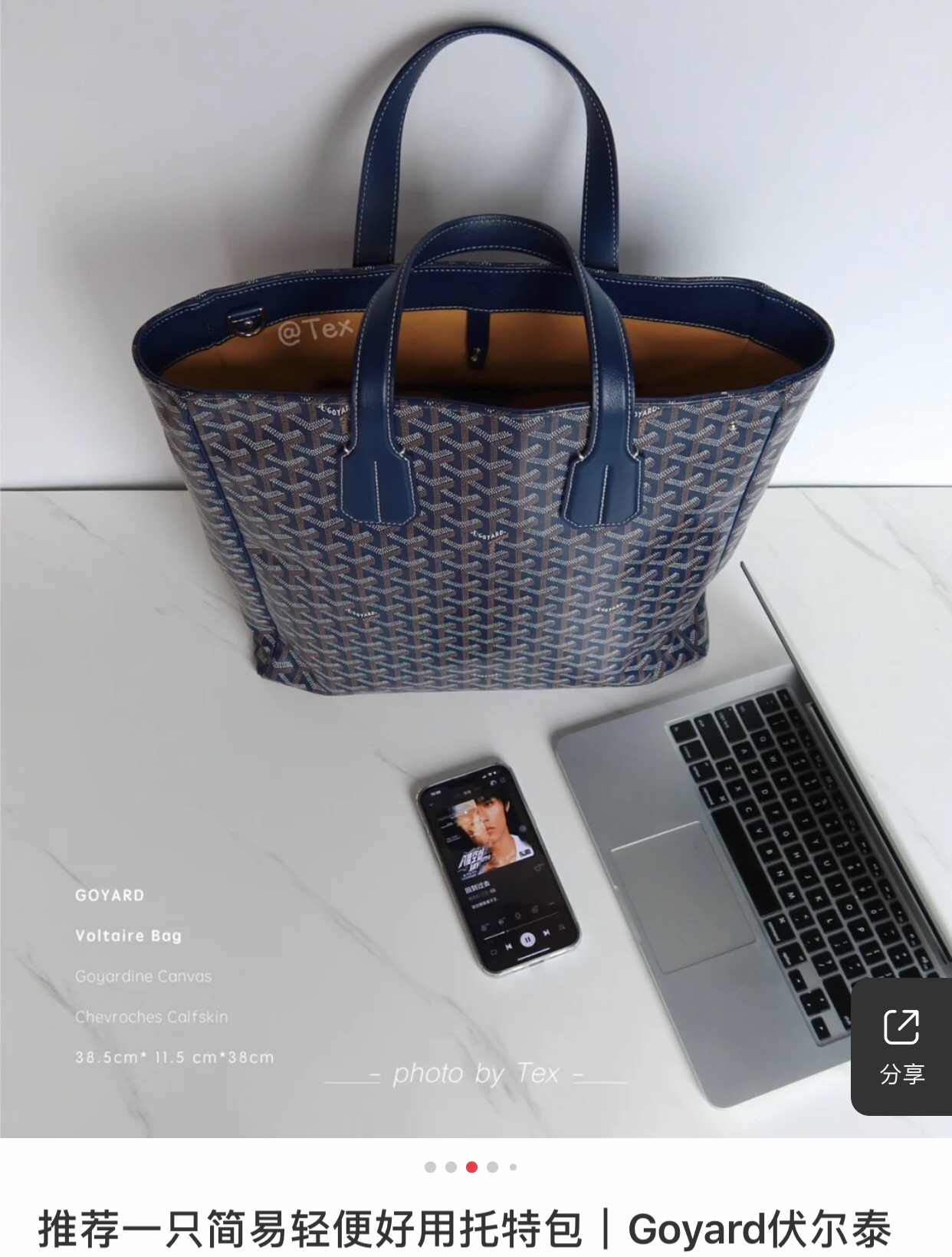Goyard Goyardine Navy Blue Voltaire Tote Bag Palladium