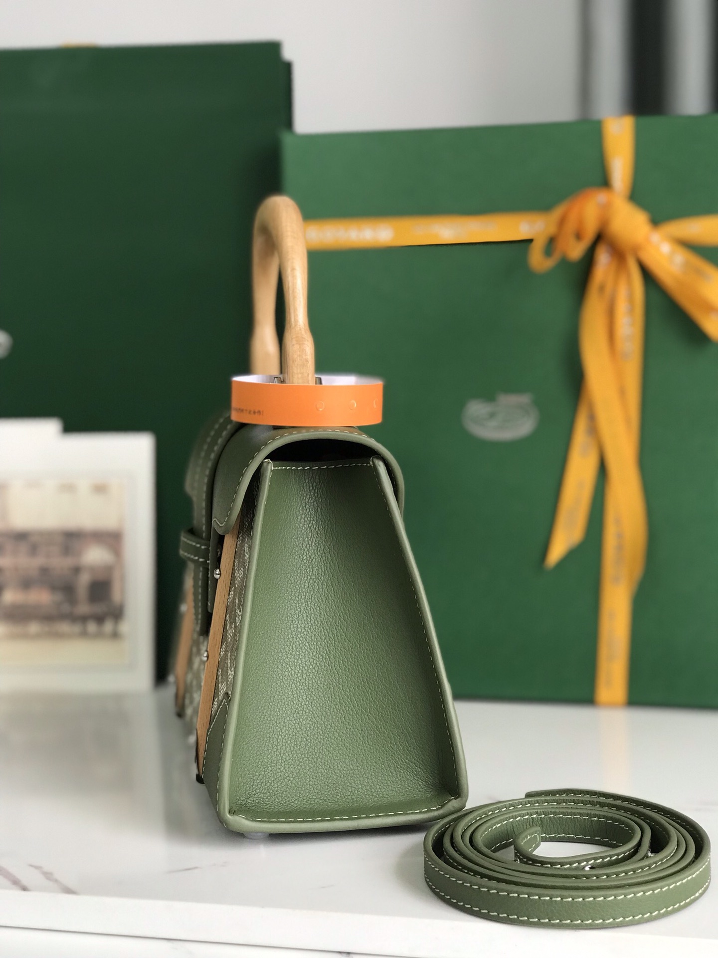 GOYARD Saigon Structure Mini Hand Shoulder Bag green PVC
