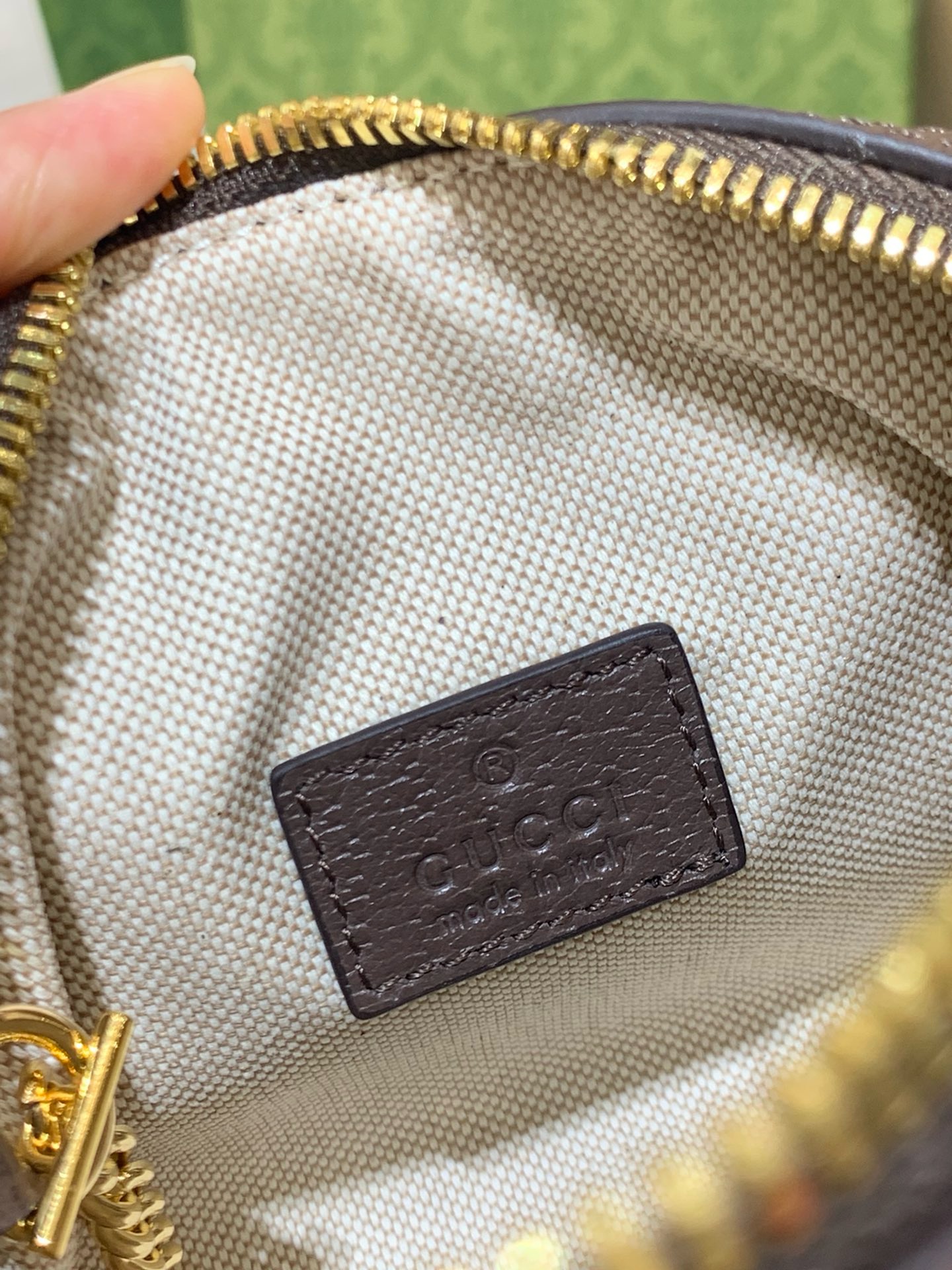 Gucci Ophidia GG Supreme Mini Bag | Brown