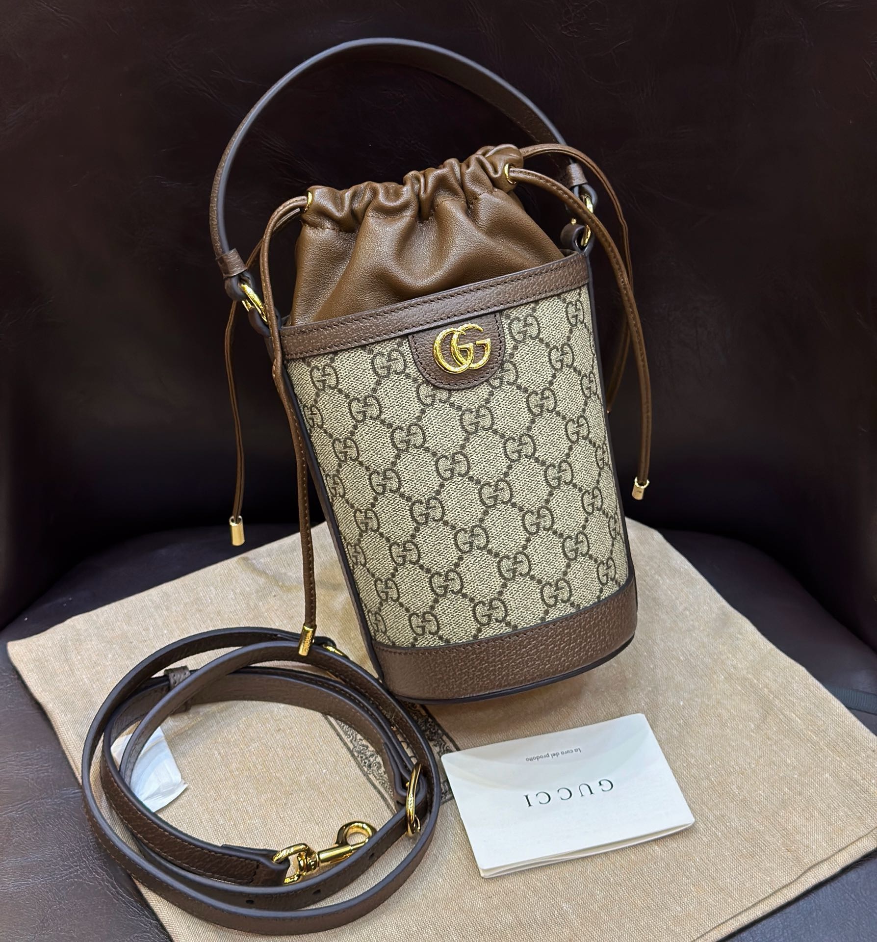 Gucci Ophidia Mini Bucket Bag: Stunning 2024 Essential Style