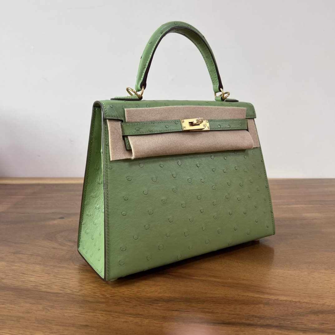 Hermes 2023 Ostrich Mini Kelly