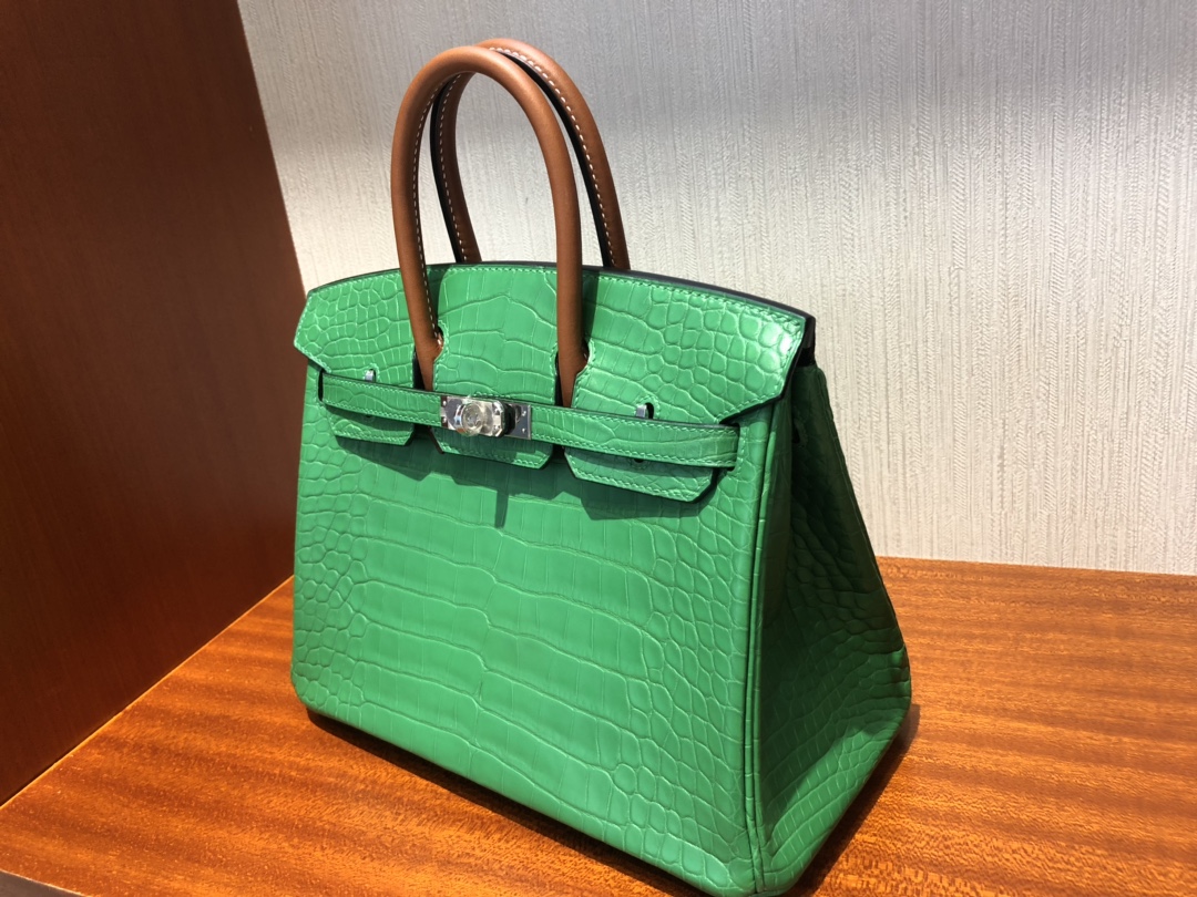 Hermes Birkin 25 Cactus Crocodile