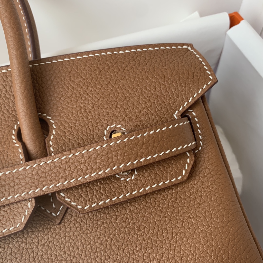 Hermes Birkin 25 Gold Togo Gold Hardware Women's Handbag
