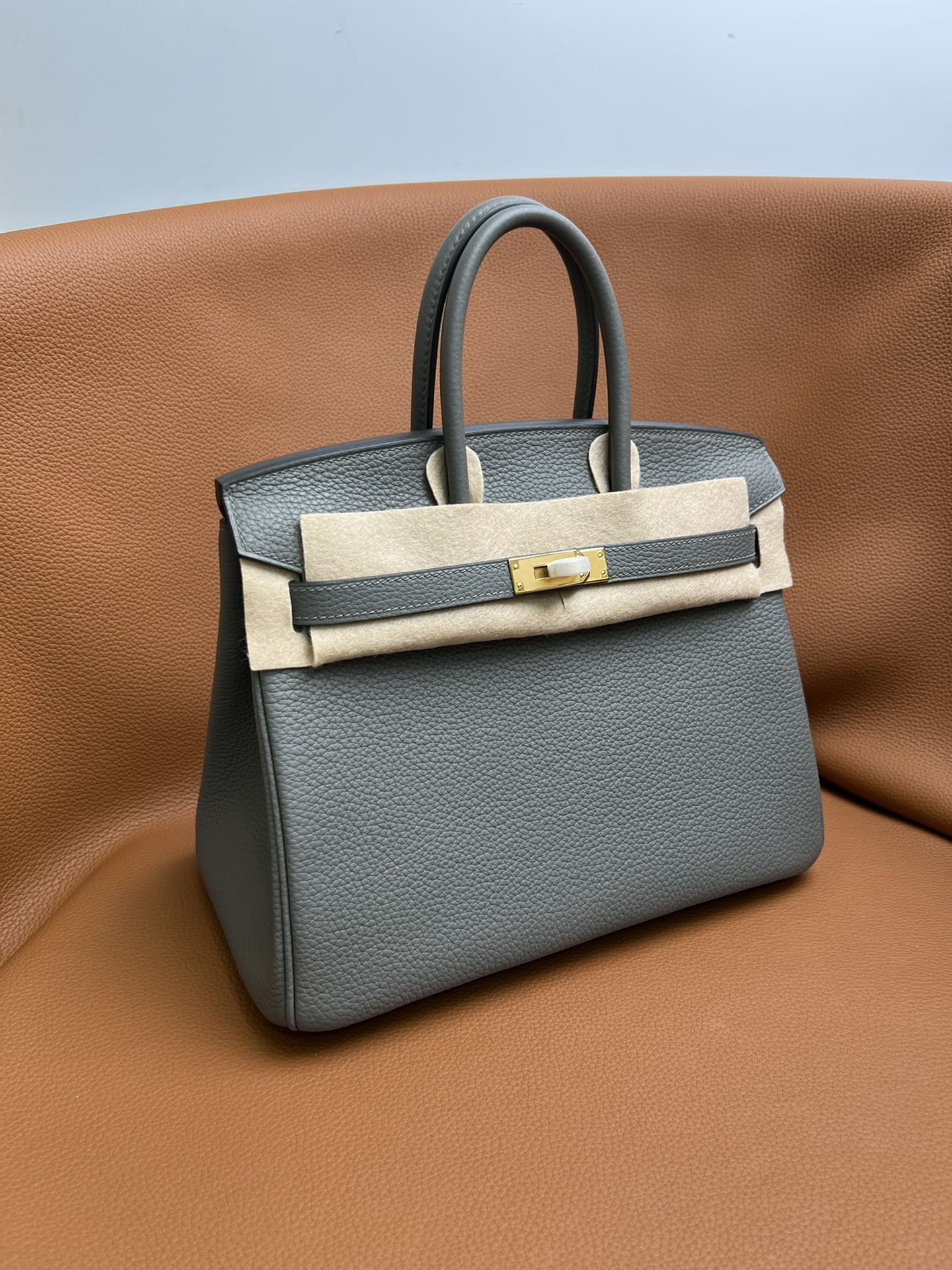 Hermes Birkin 25 Gris Etain in Togo Leather with Gold Hardware