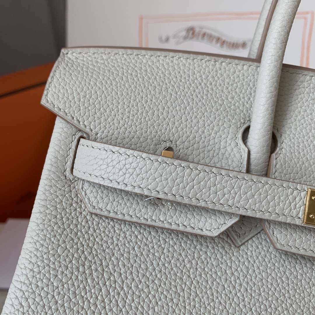 Hermes Birkin 25 Gris Perle Togo Leather With Gold Hardware