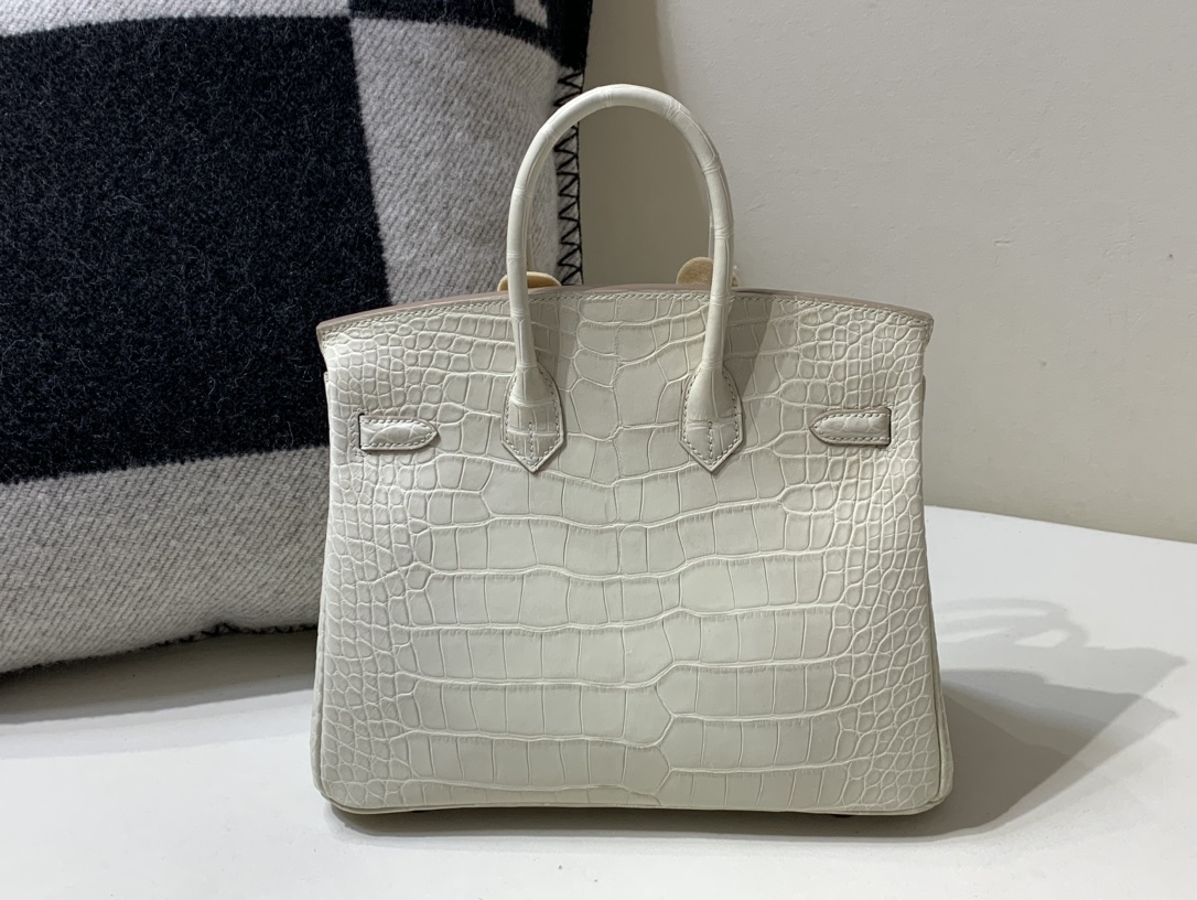 Hermes Birkin 25 Kem Beton Matte Porosus Crocodile
