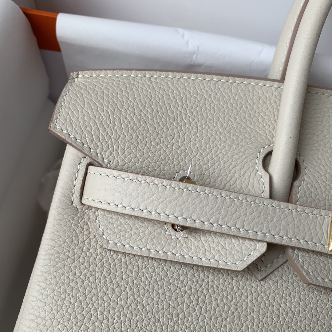 Hermes Birkin 25 Togo Beton Silver Buckle Gold Lock