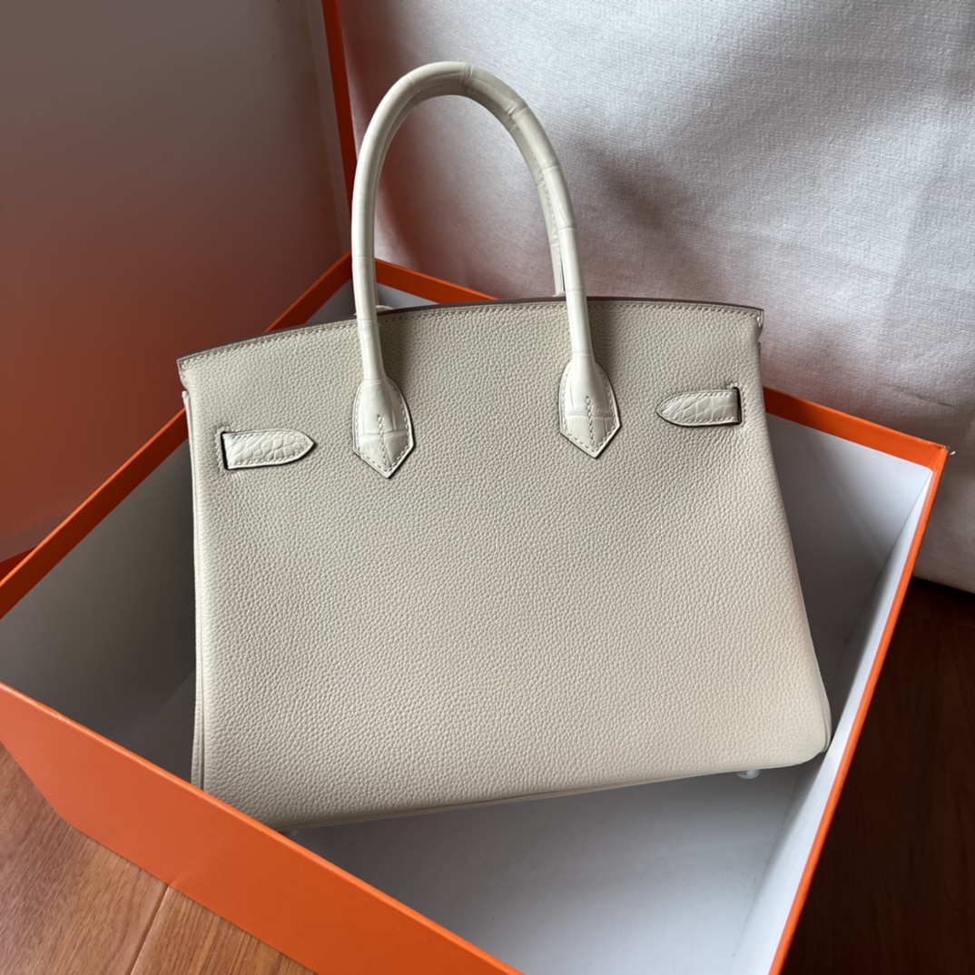 Hermes Birkin 25 Togo With Silver Hardware