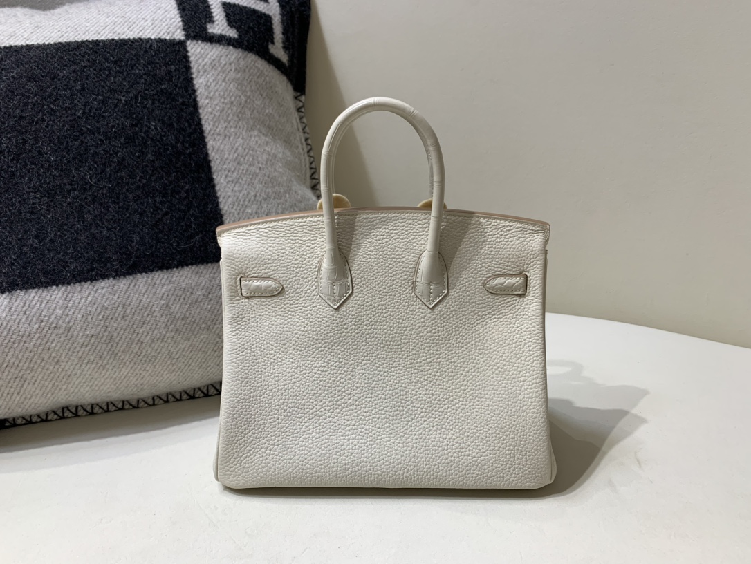 Hermes Birkin 25 Togo With Silver Hardware