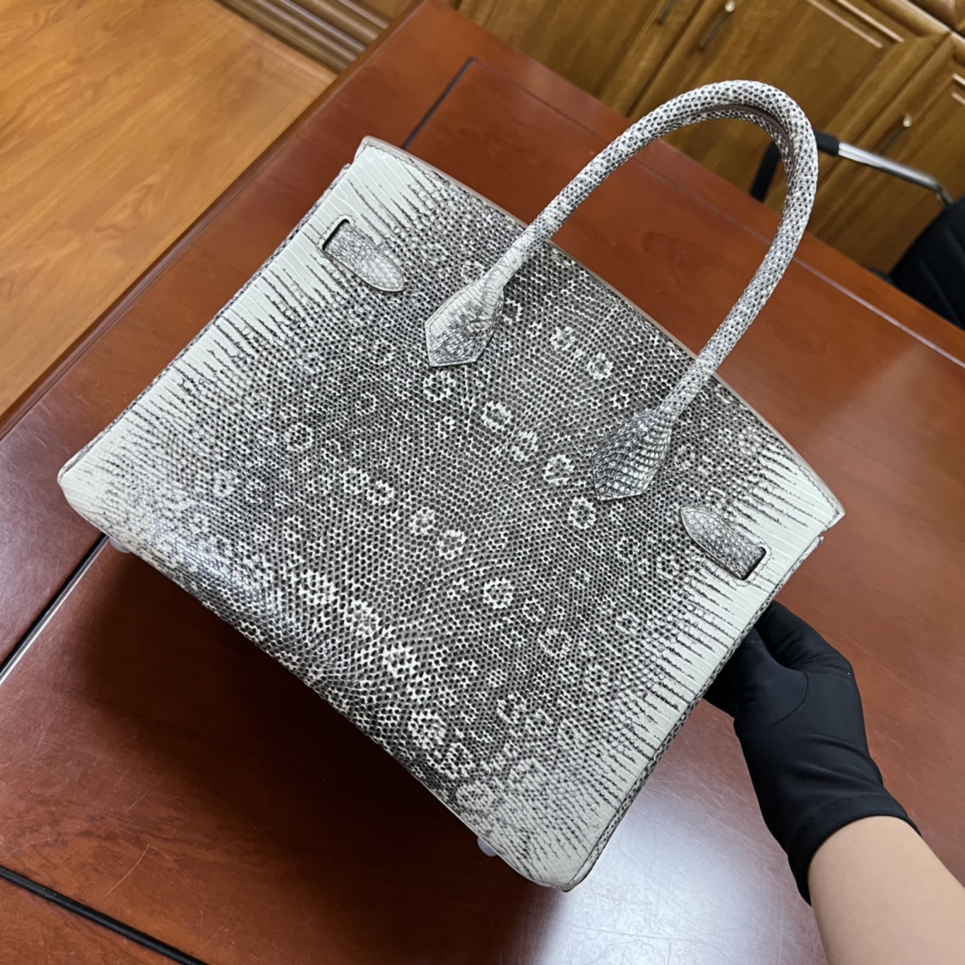 Hermes Birkin Bag Varanus Salvator Lizard