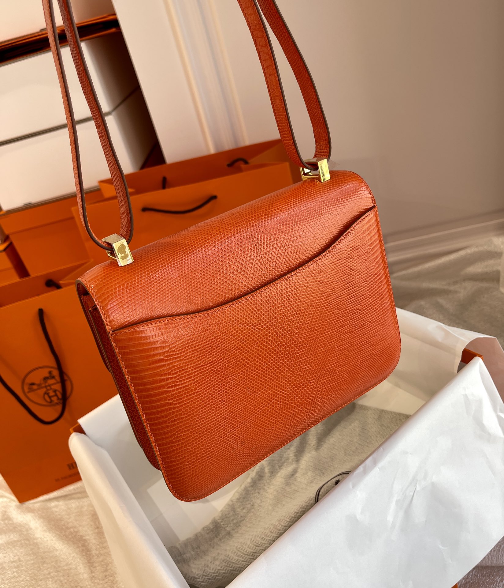 Hermes Constance 18 Salvator Lizard Sanguine lizard skin bag