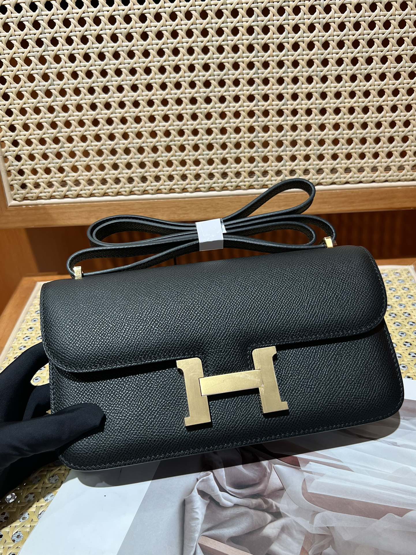 Hermes Constance Elan Niloticus Lizard