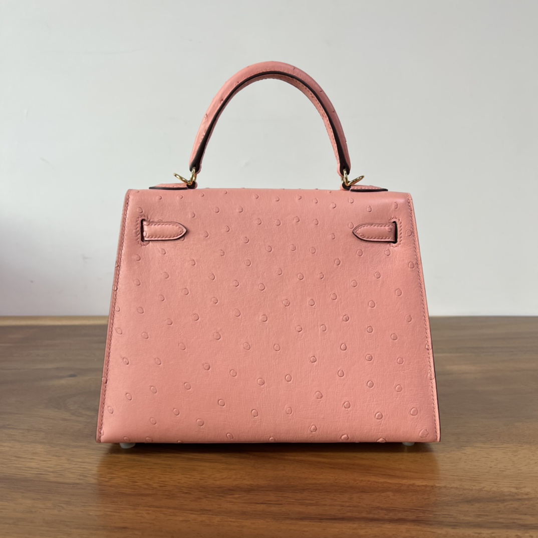 Hermes Terre Cuite Sellier Ostrich Kelly 25 Handbag Bag