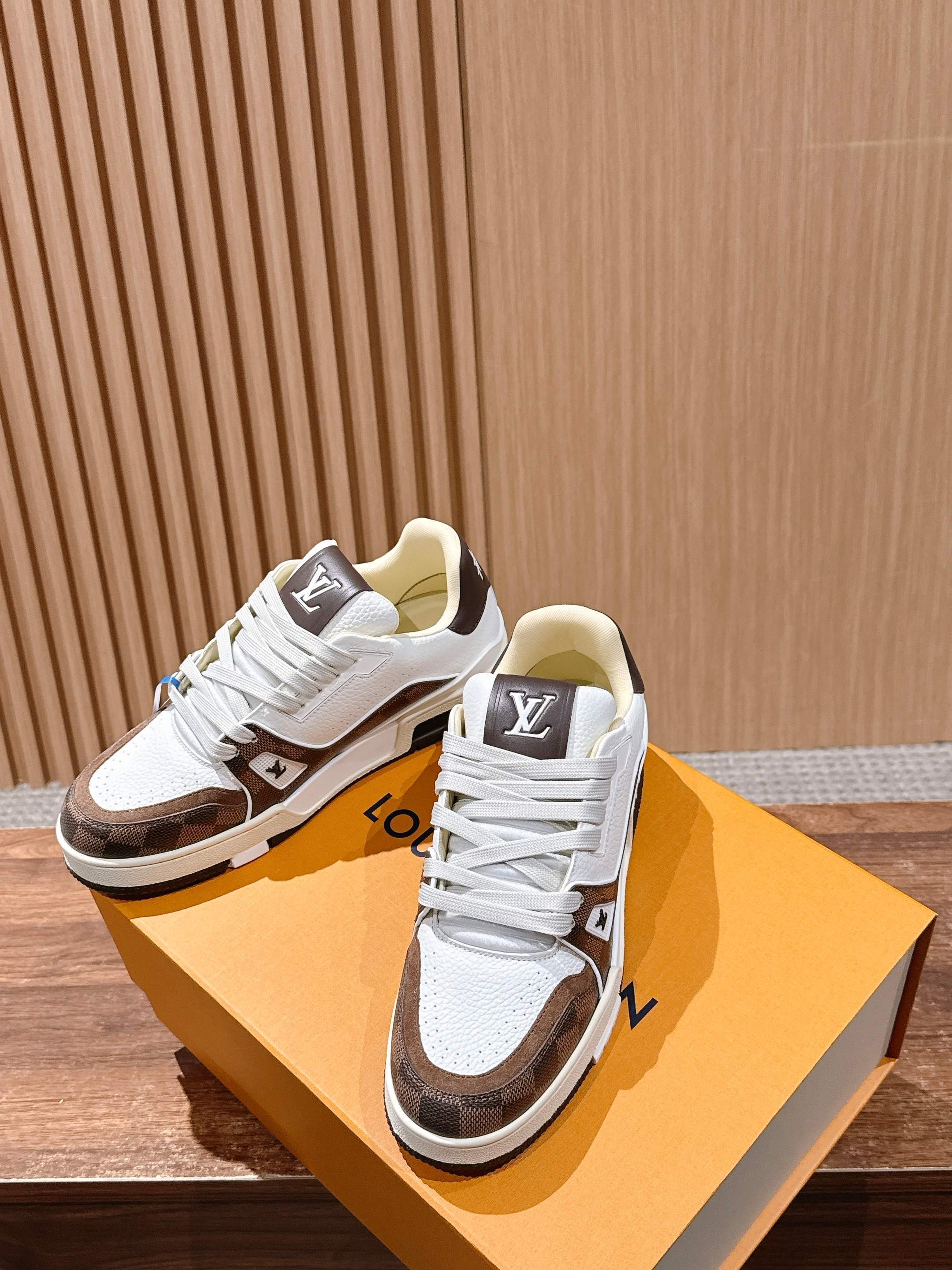 Louis Vuitton LV Skate Sneaker Damier Ebene & White Leather