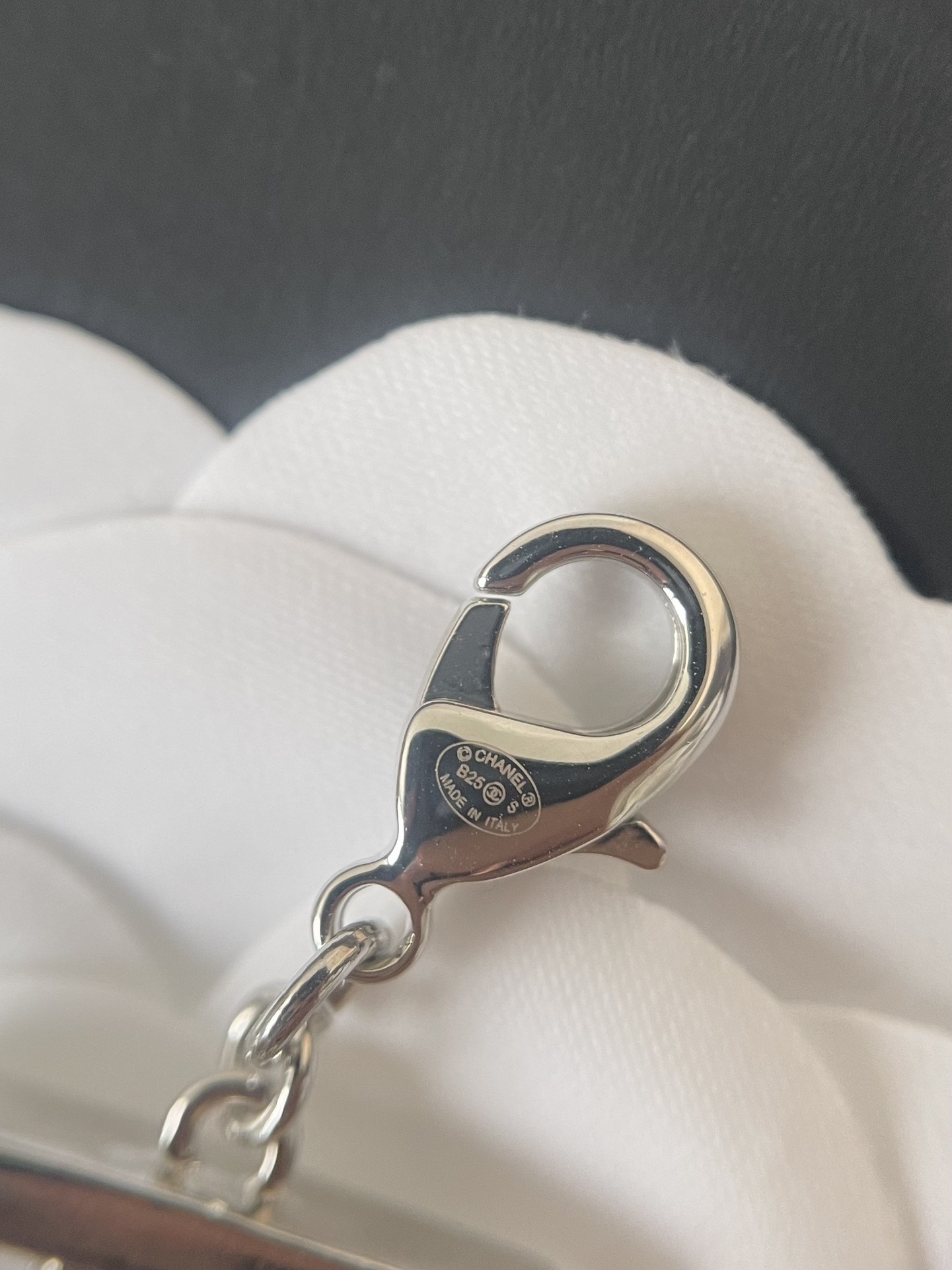 Elegant Silver Crystal Layered Chain Necklace with CC Pendant