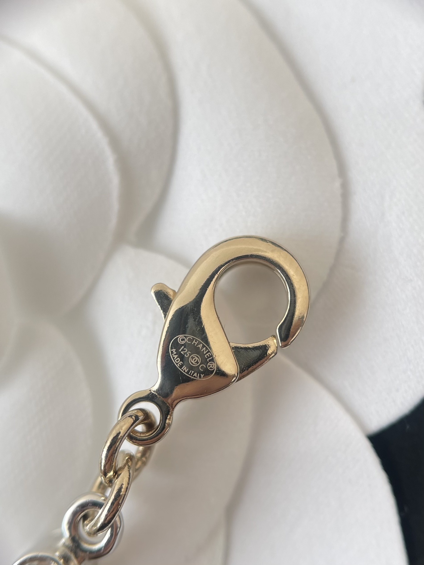 Luxury Crystal Choker Necklace with Designer Inspired Gold Charms