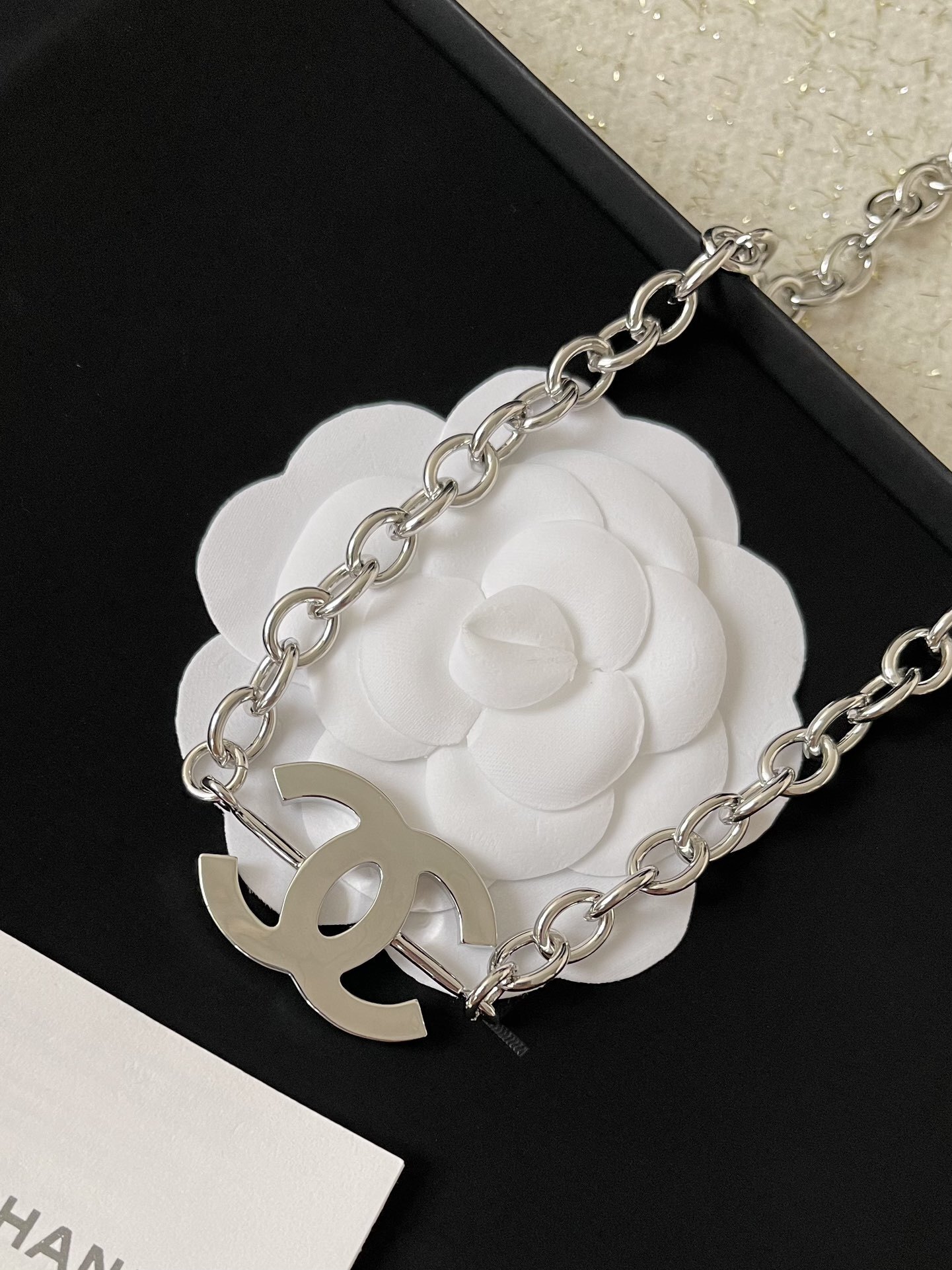 Chanel Cruise 2024/25 Silver Metal & Crystal CC Logo Chain Necklace