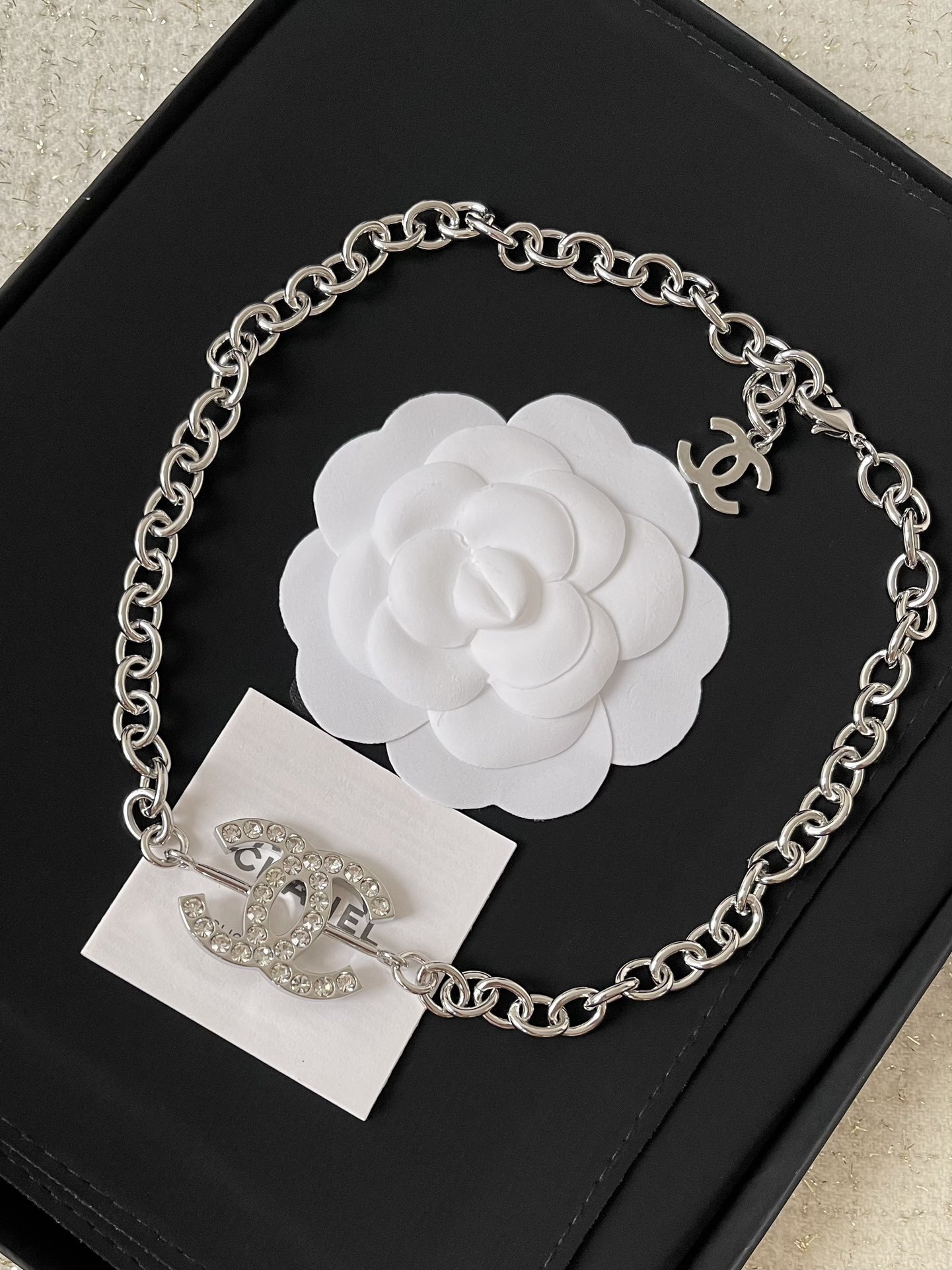 Chanel Cruise 2024/25 Silver Metal & Crystal CC Logo Chain Necklace