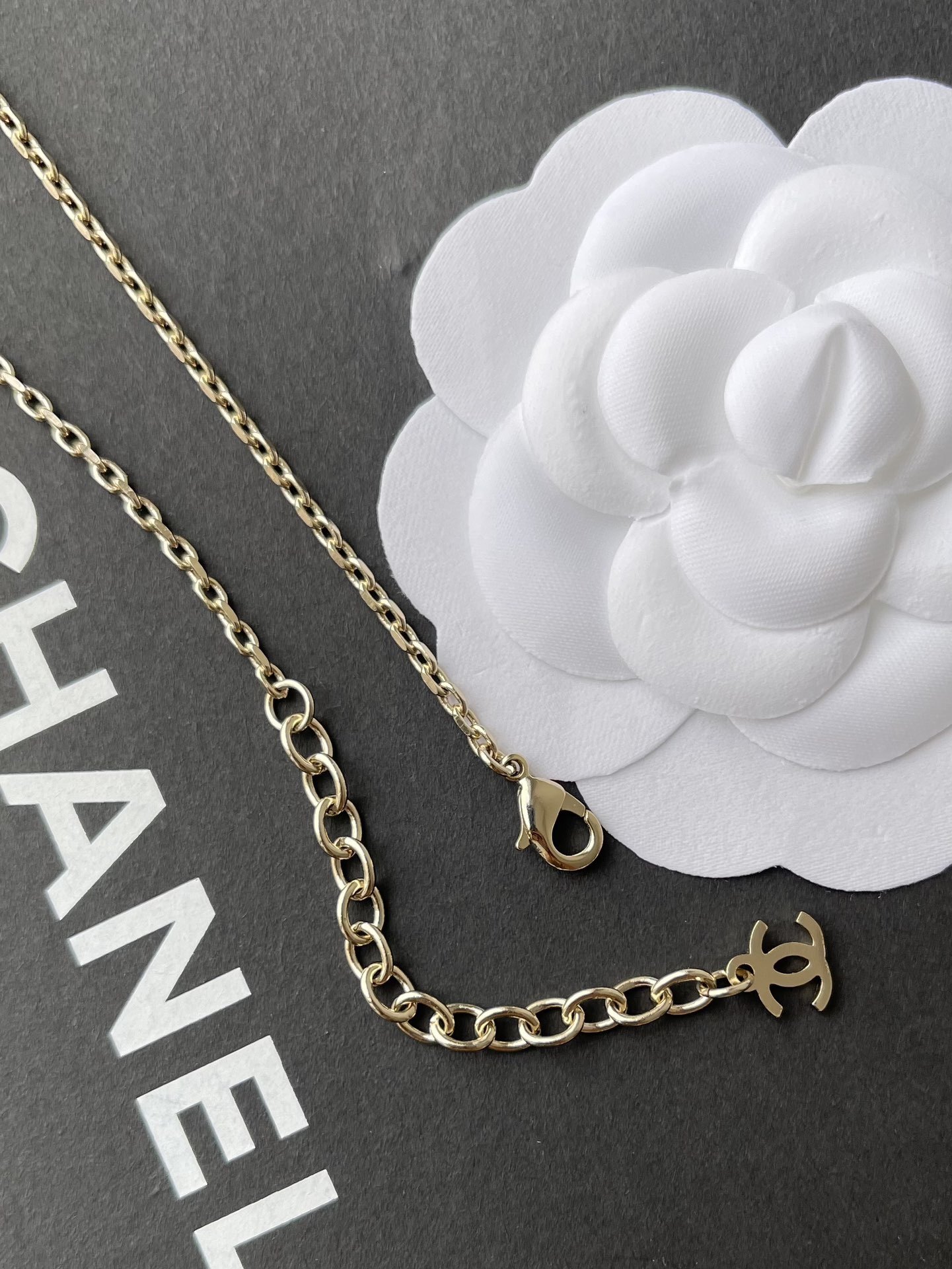 Chanel Fall-Winter 2025/26 Gold Metal & Crystal Long Necklace