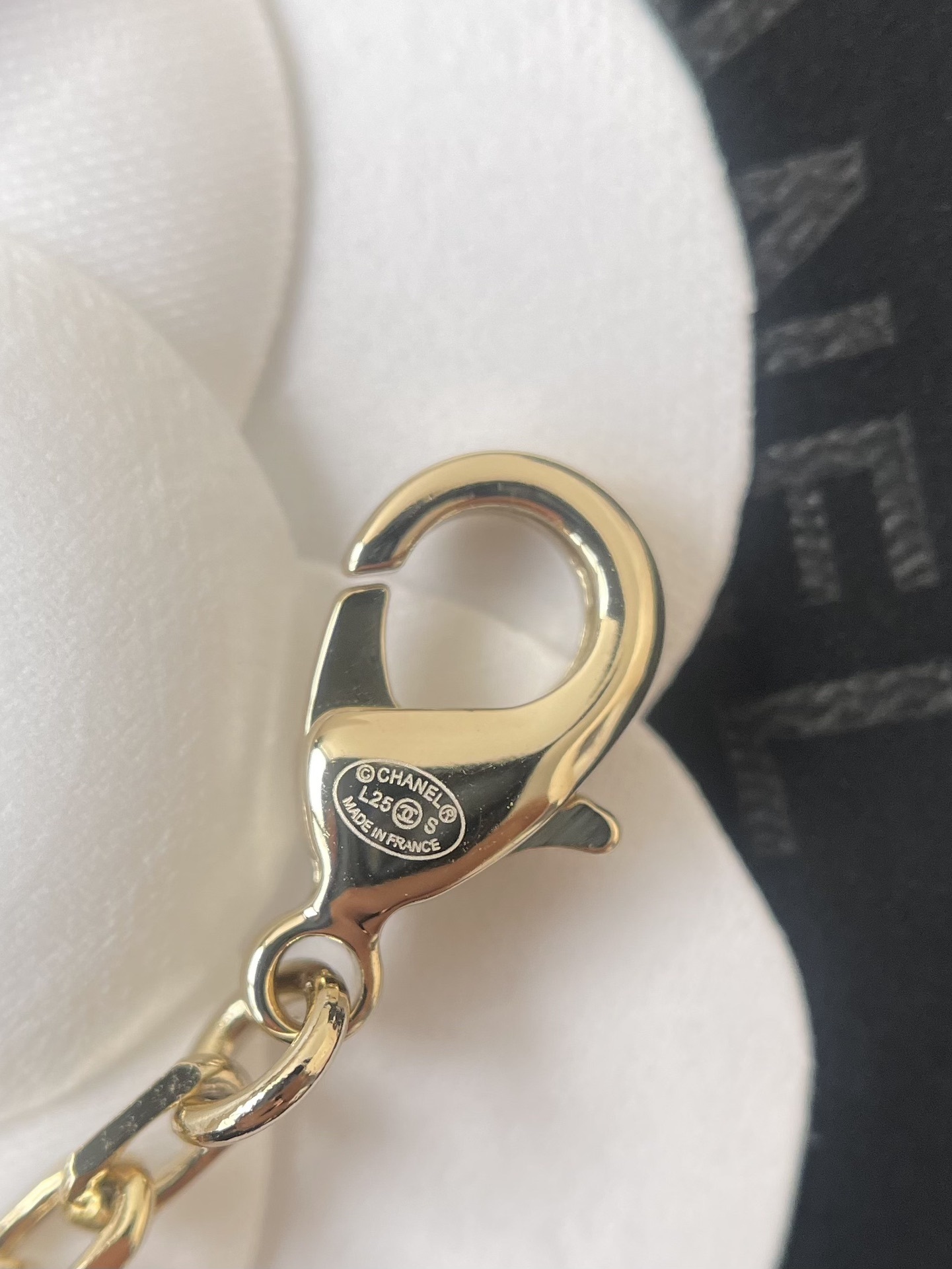 Luxury Chanel CC Logo Twisted Crystal Necklace & Earrings Set