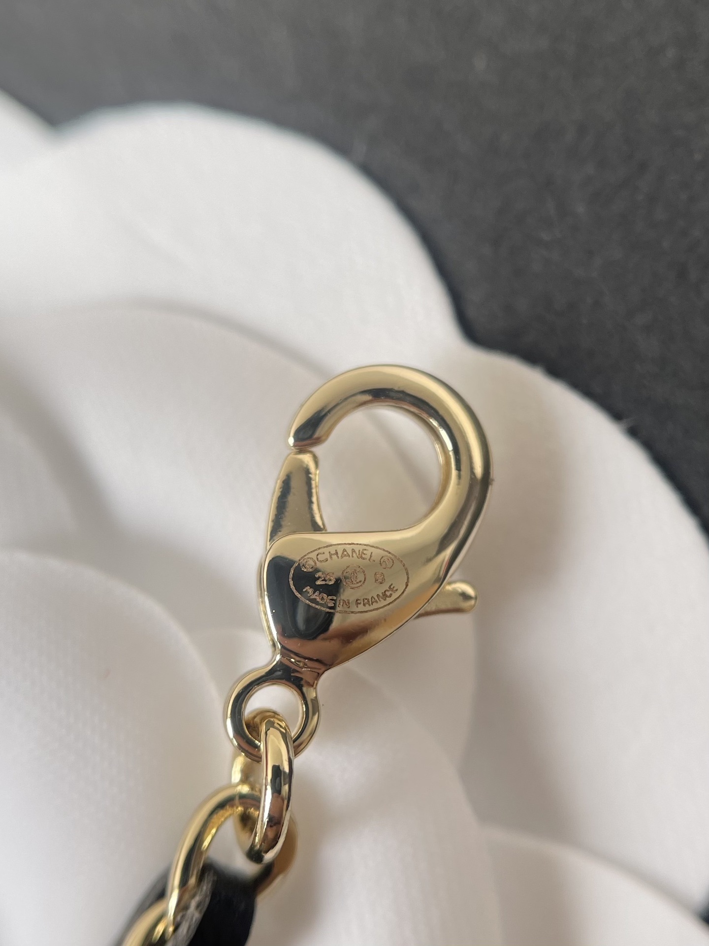 Chanel AW 2025/26 Leather Chain Necklace with CC & Pearl Charms