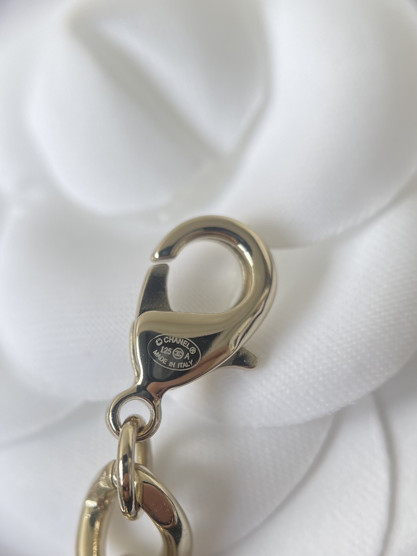 Chanel 2024/25 Métiers d'art Pink Resin & Gold Charm Necklace