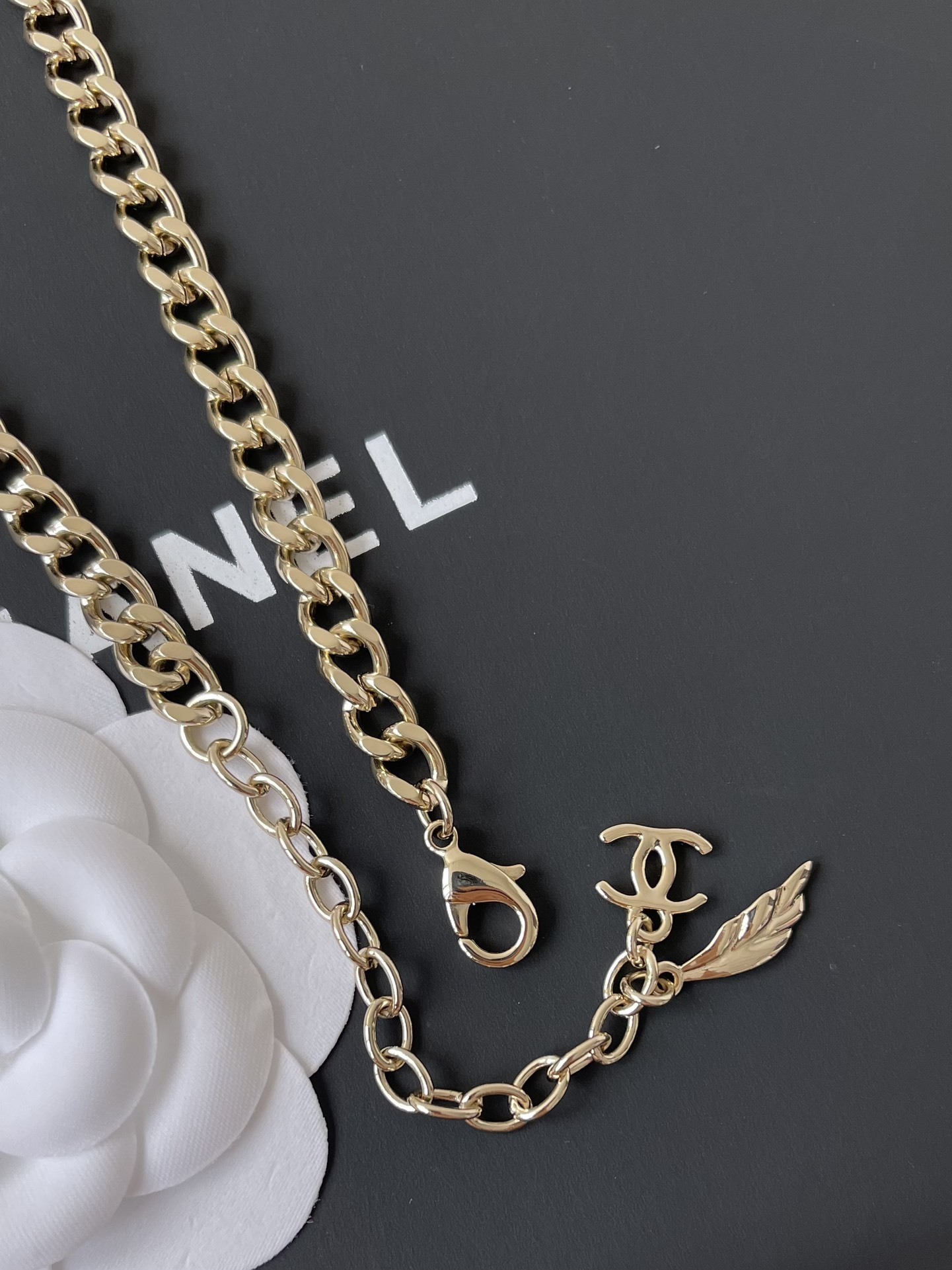 Chanel 2024/25 Métiers d'art Pink Resin & Gold Charm Necklace
